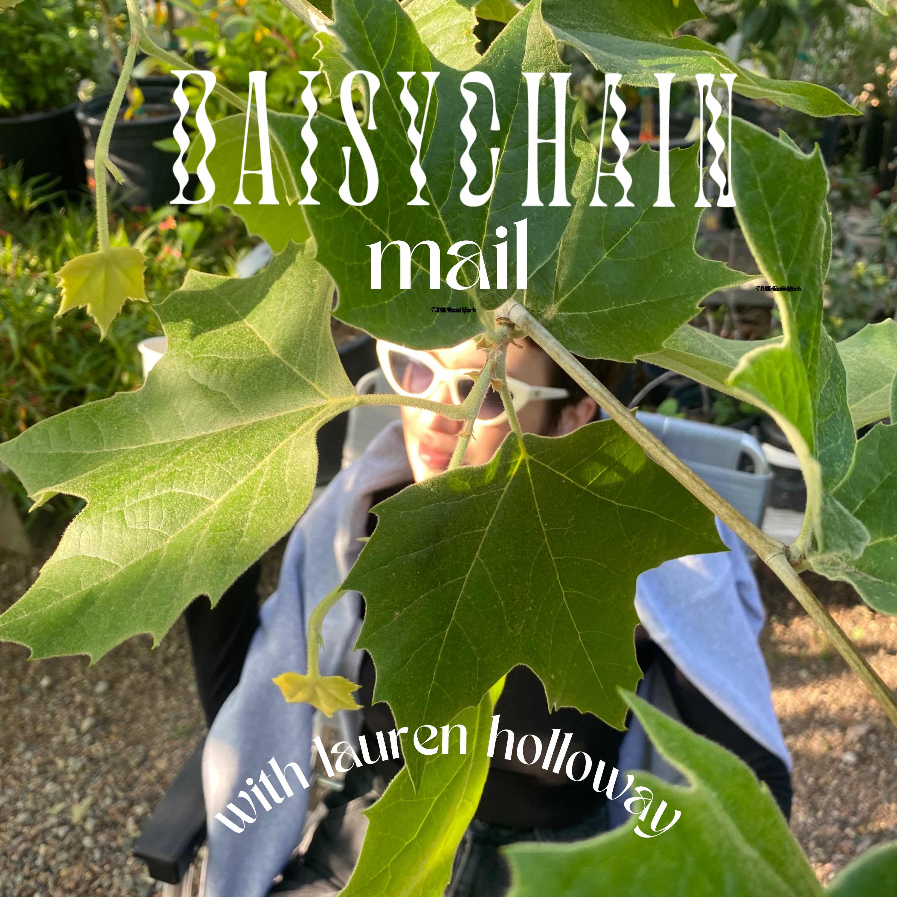 Daisy Chain Mail