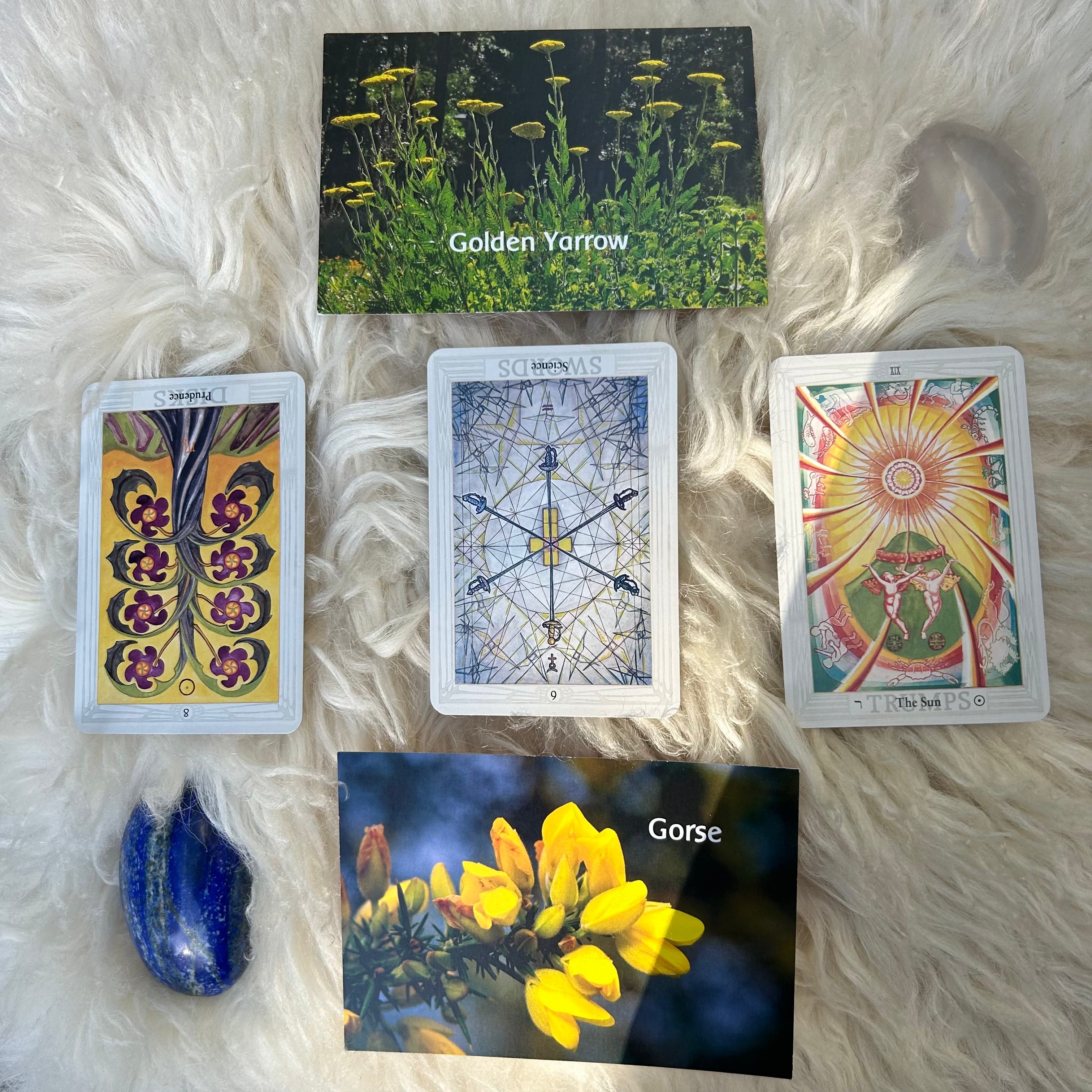 FLOWERSCOPES FOR NOVEMBER episode artwork