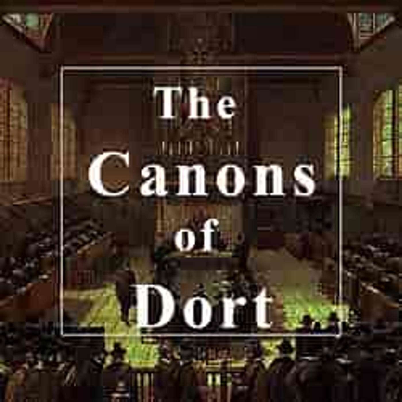 Canons of Dort Main Point 1; Rejection of Errors VI episode artwork