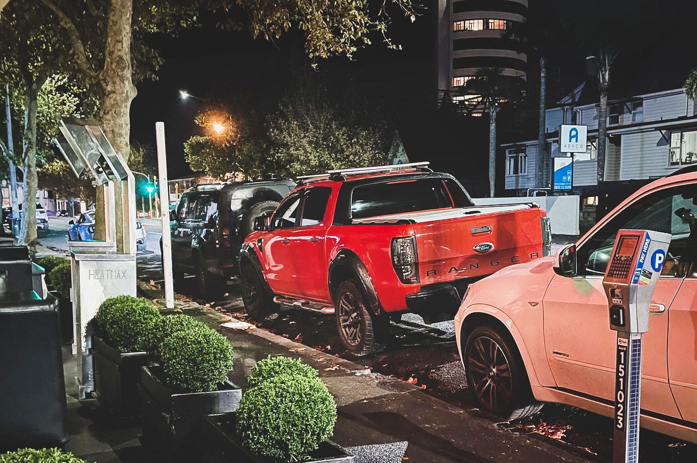 The Kākā by Bernard Hickey