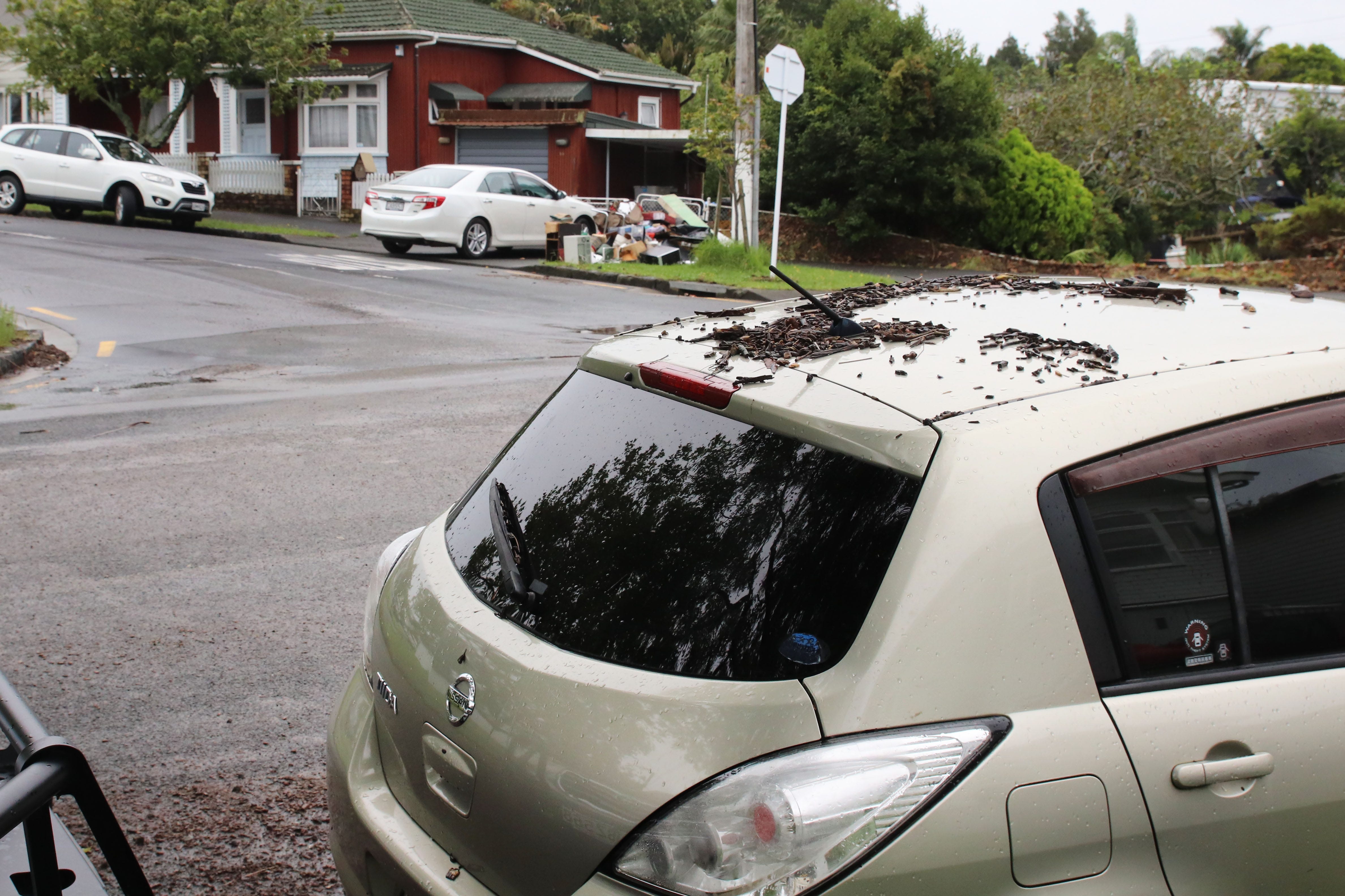 The Kākā by Bernard Hickey