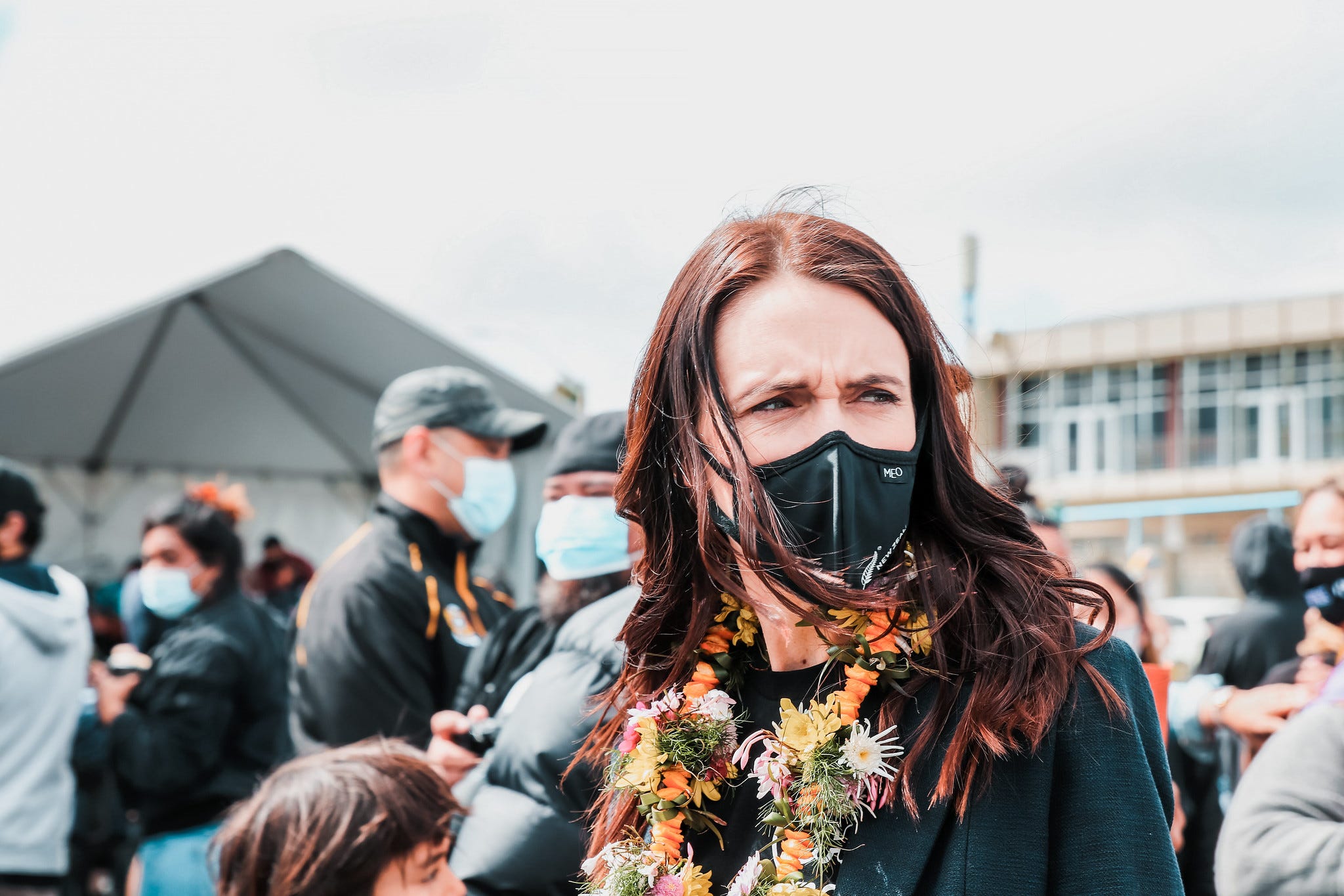 The Kākā by Bernard Hickey