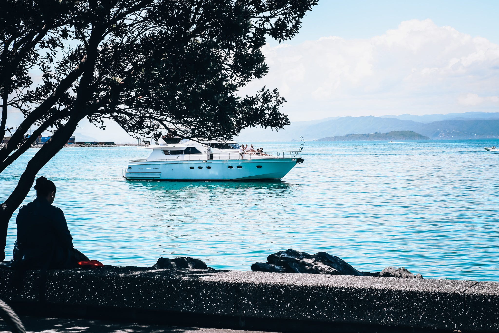 The Kākā by Bernard Hickey