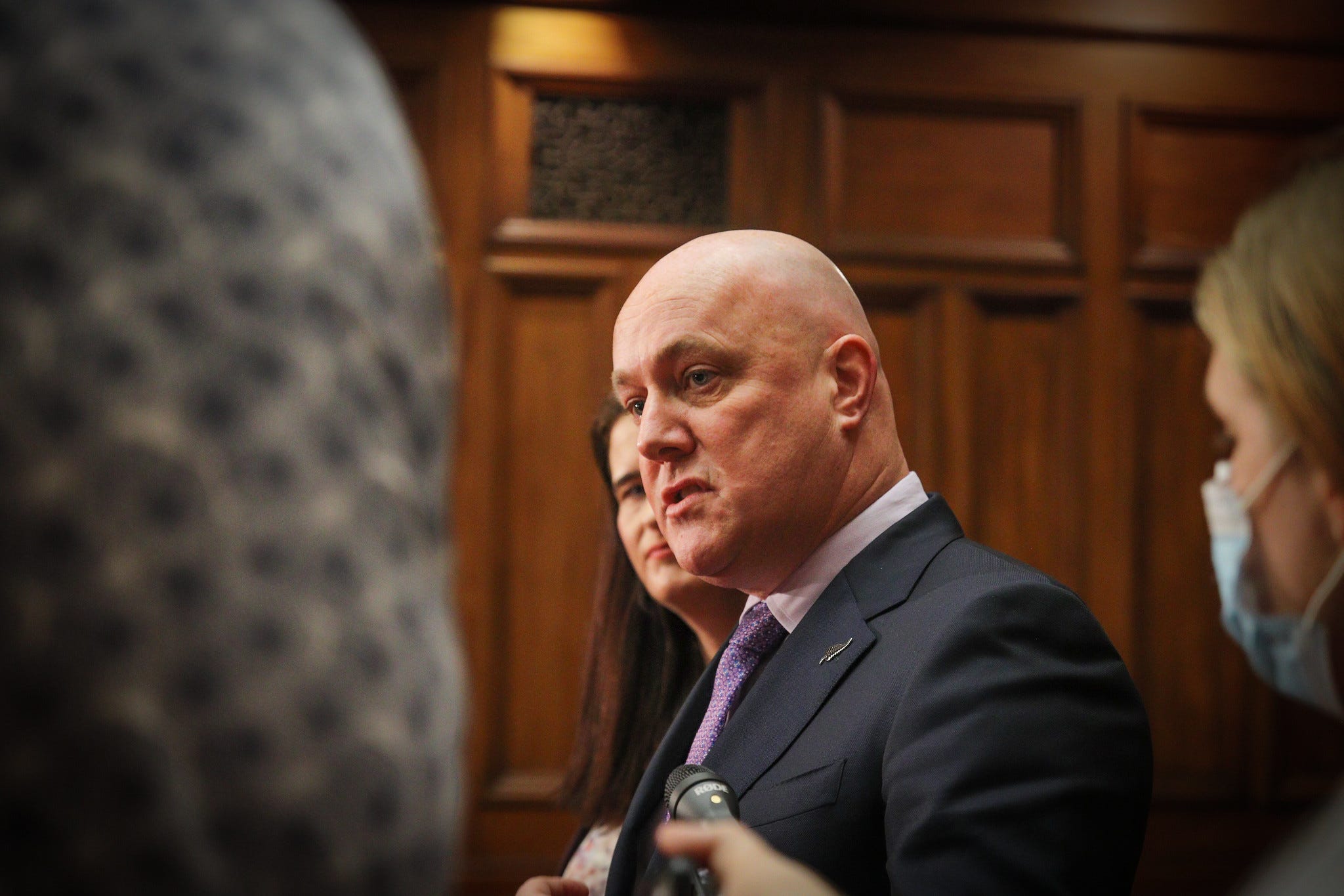 The Kākā by Bernard Hickey