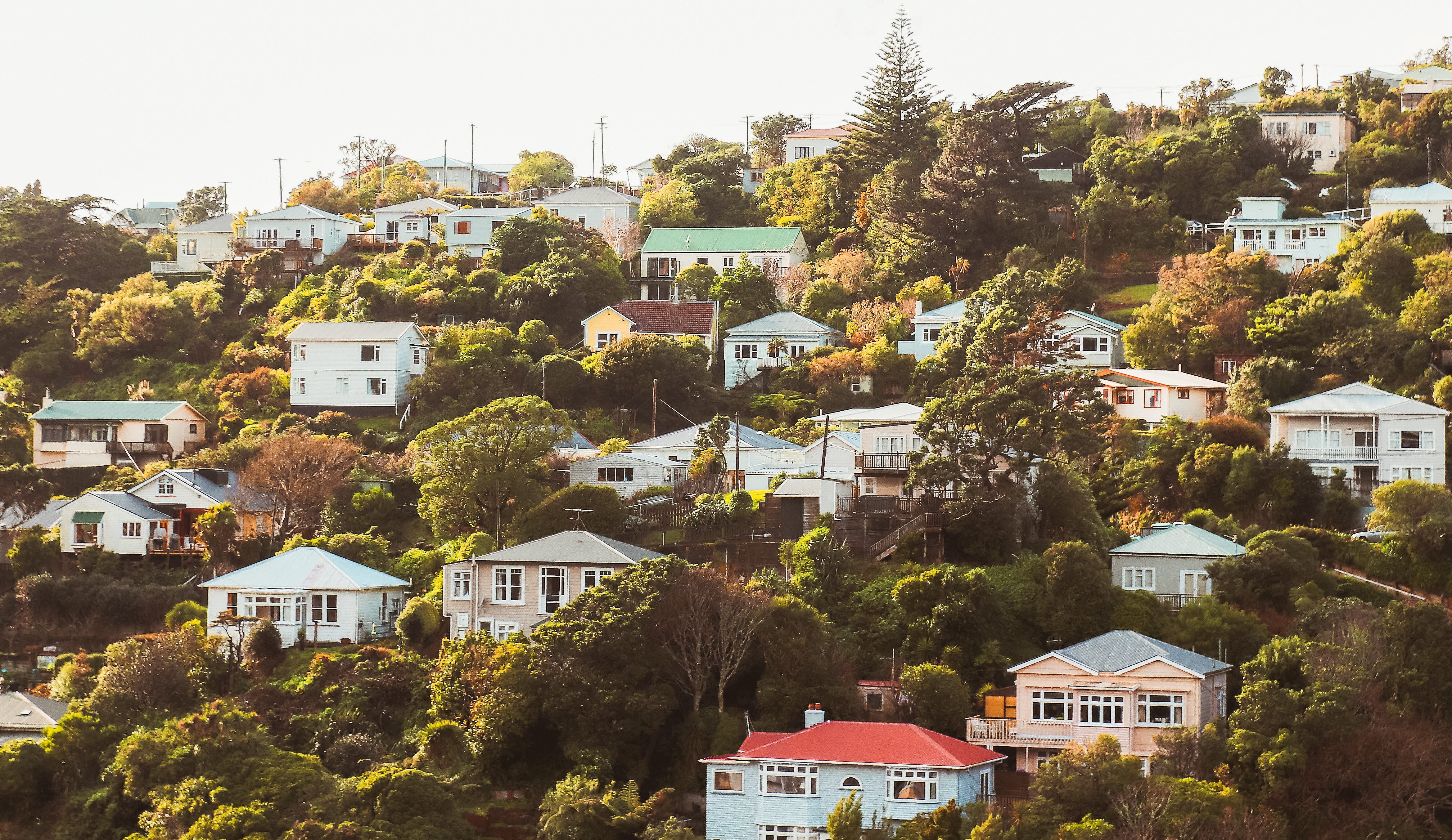 House prices primed to surge 10-20% if National wins episode artwork