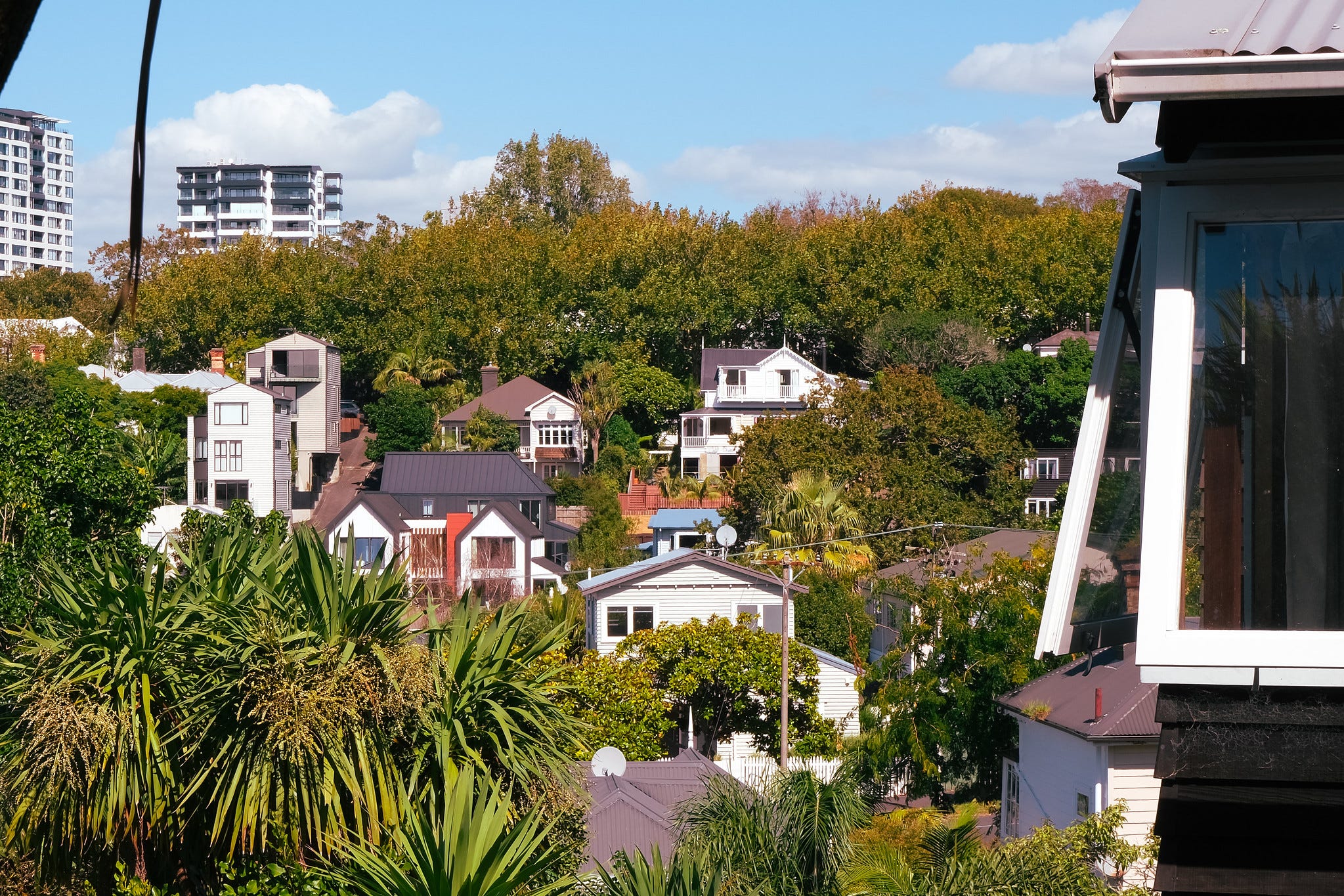 The Kākā by Bernard Hickey