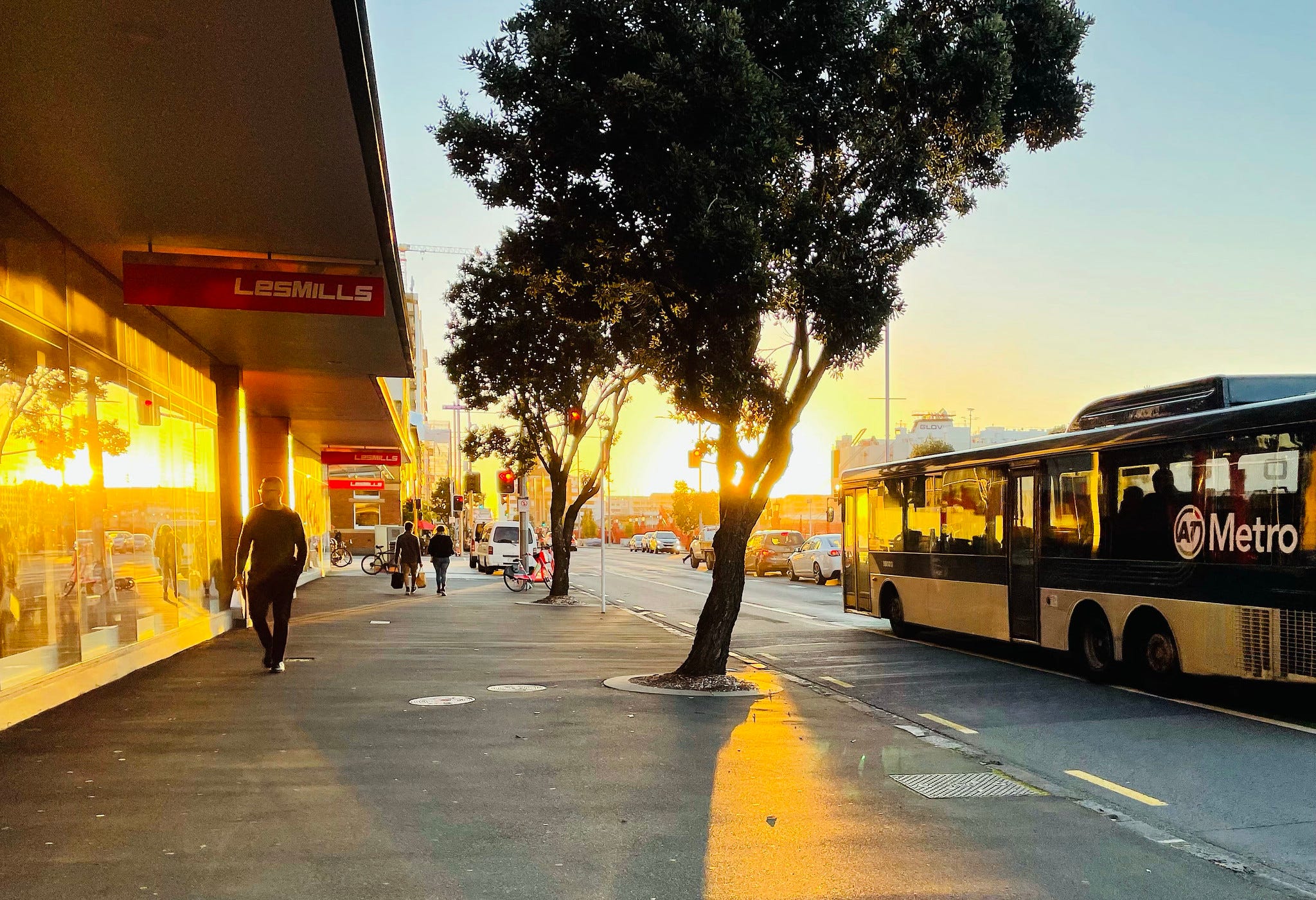 The Kākā by Bernard Hickey