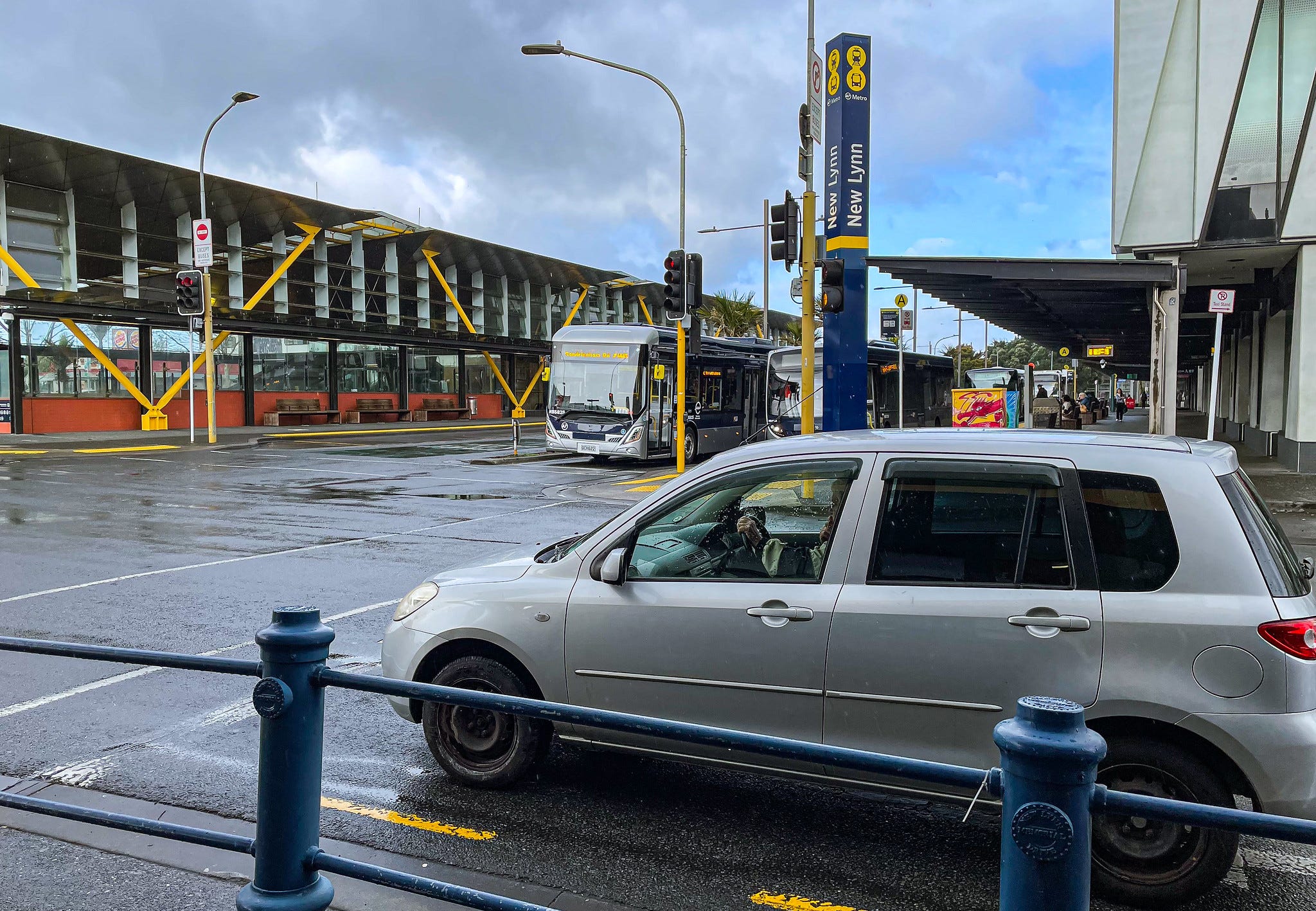 The Kākā by Bernard Hickey