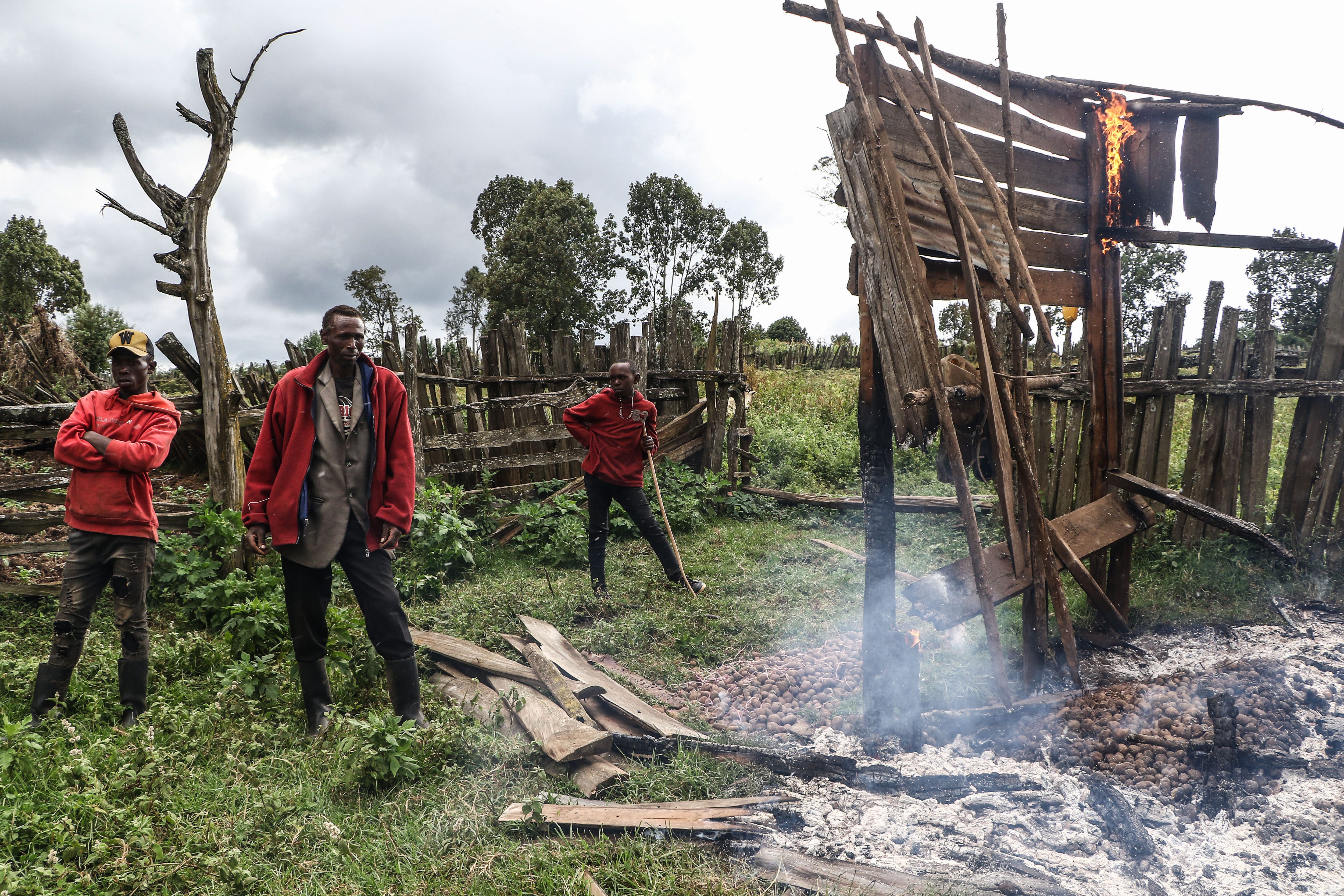 An ugly fight for African forest offsets NZ may have to buy episode artwork