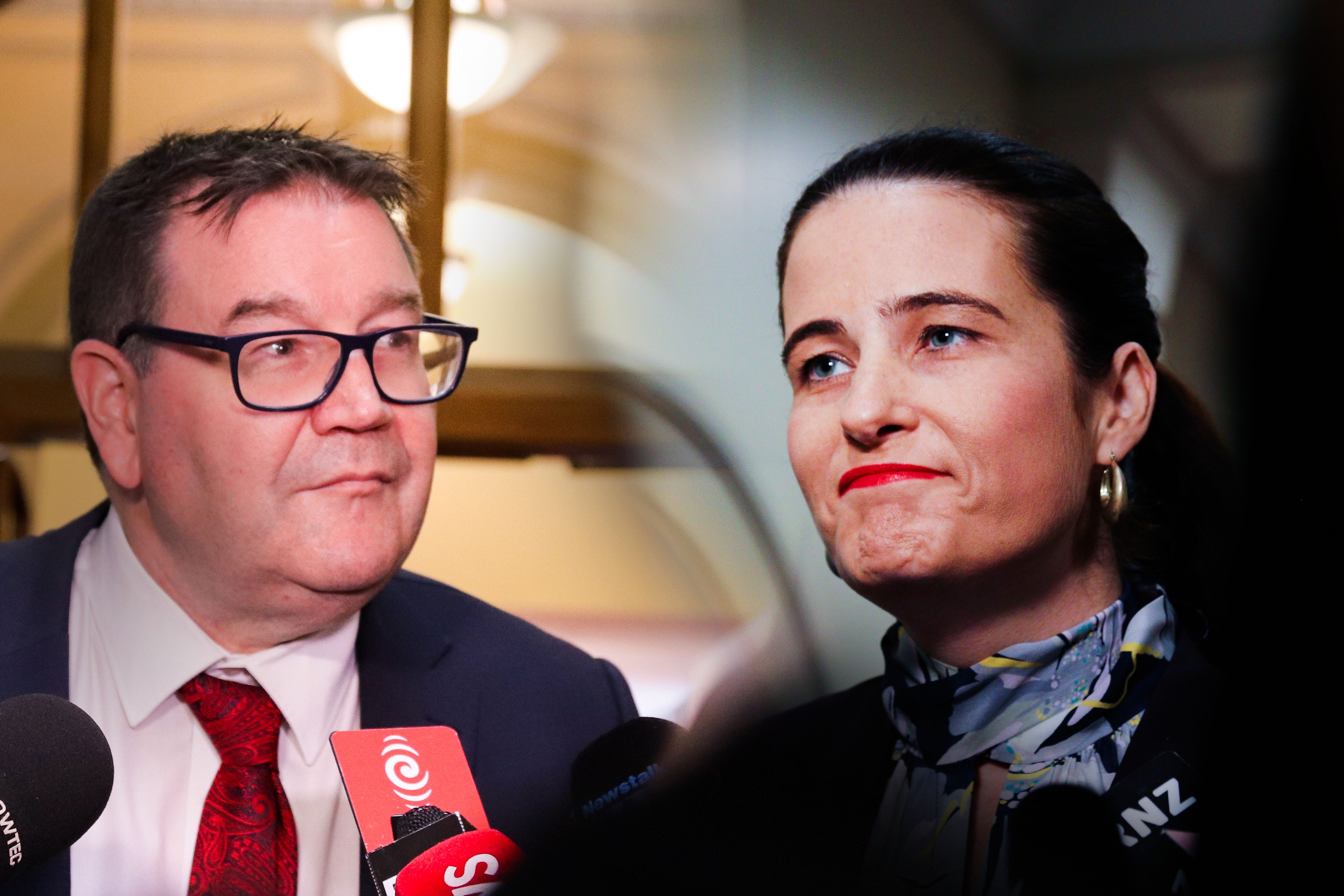 The Kākā by Bernard Hickey