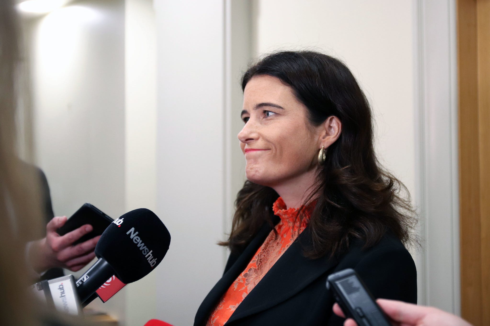 The Kākā by Bernard Hickey