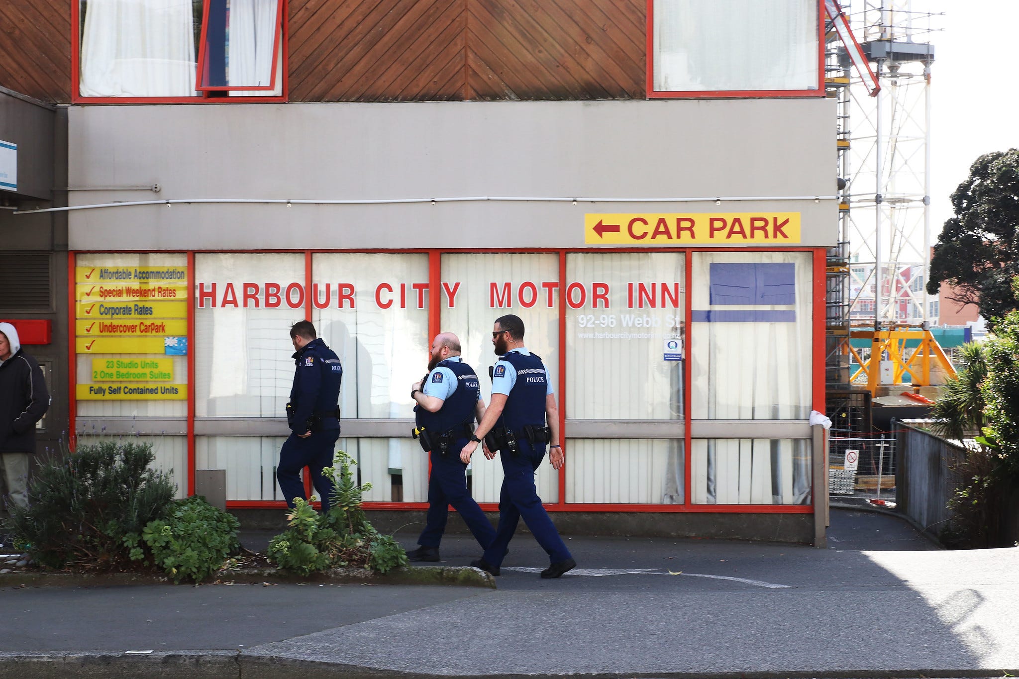 The Kākā by Bernard Hickey