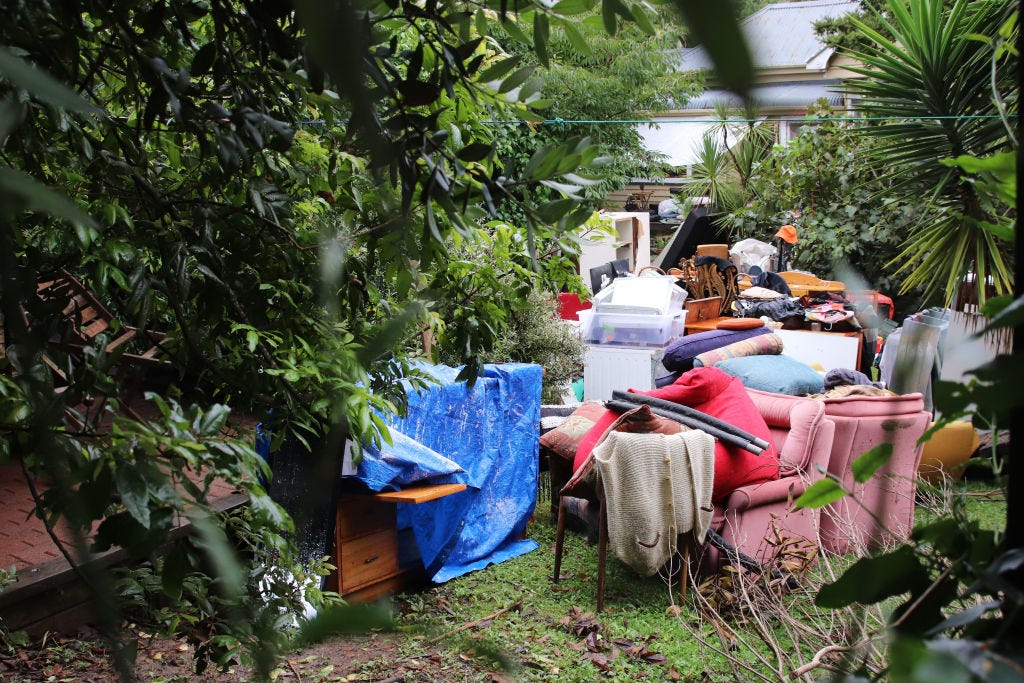 The Kākā by Bernard Hickey