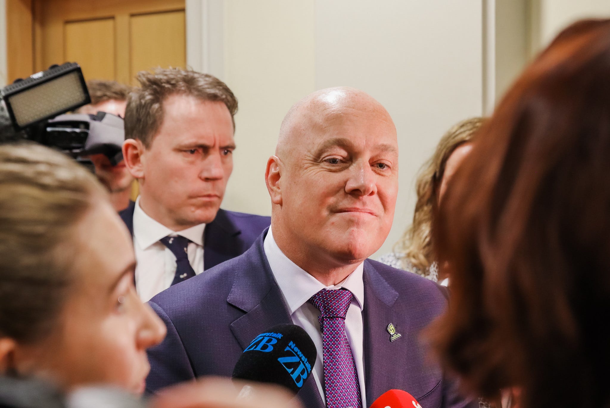 The Kākā by Bernard Hickey