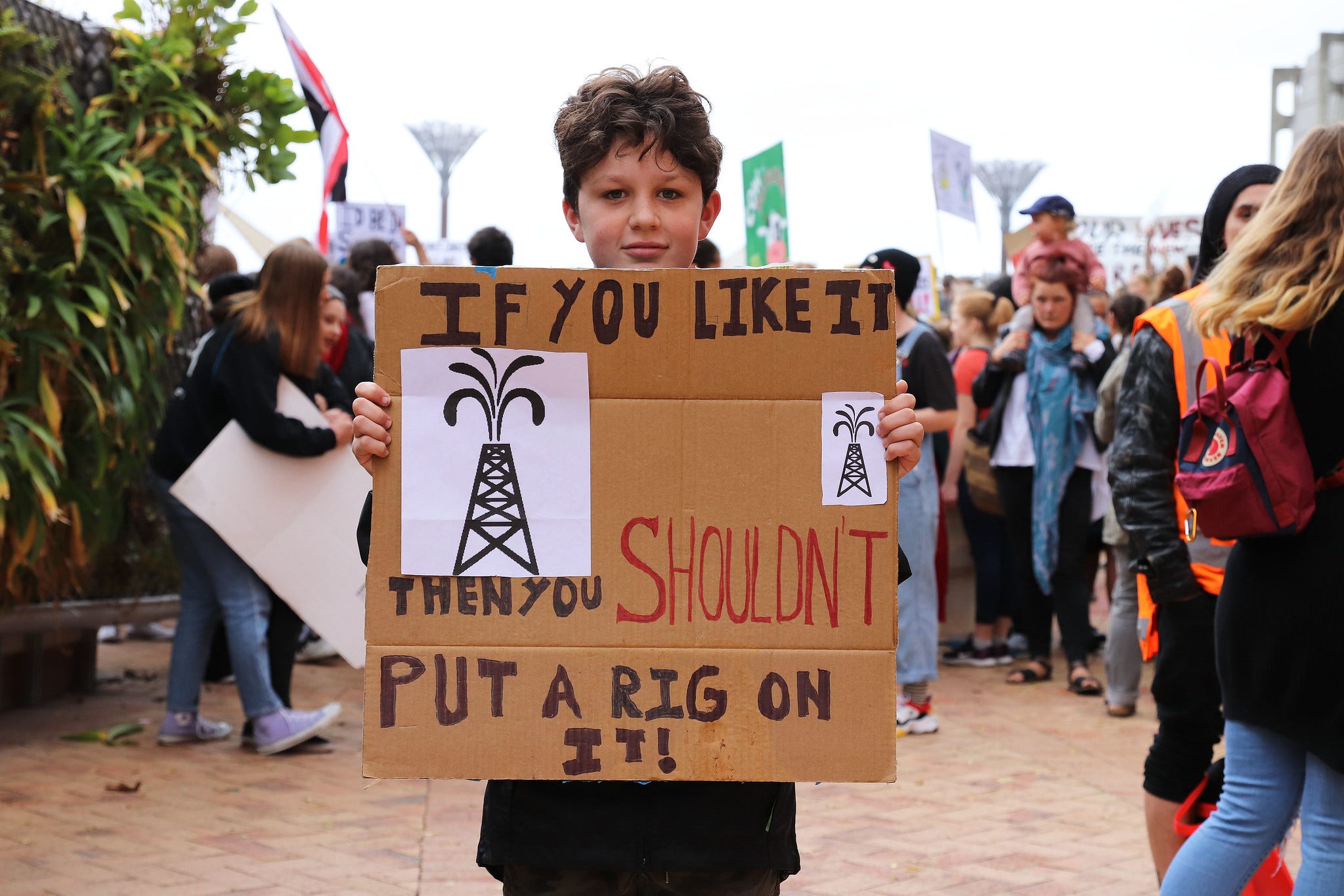 The Kākā by Bernard Hickey