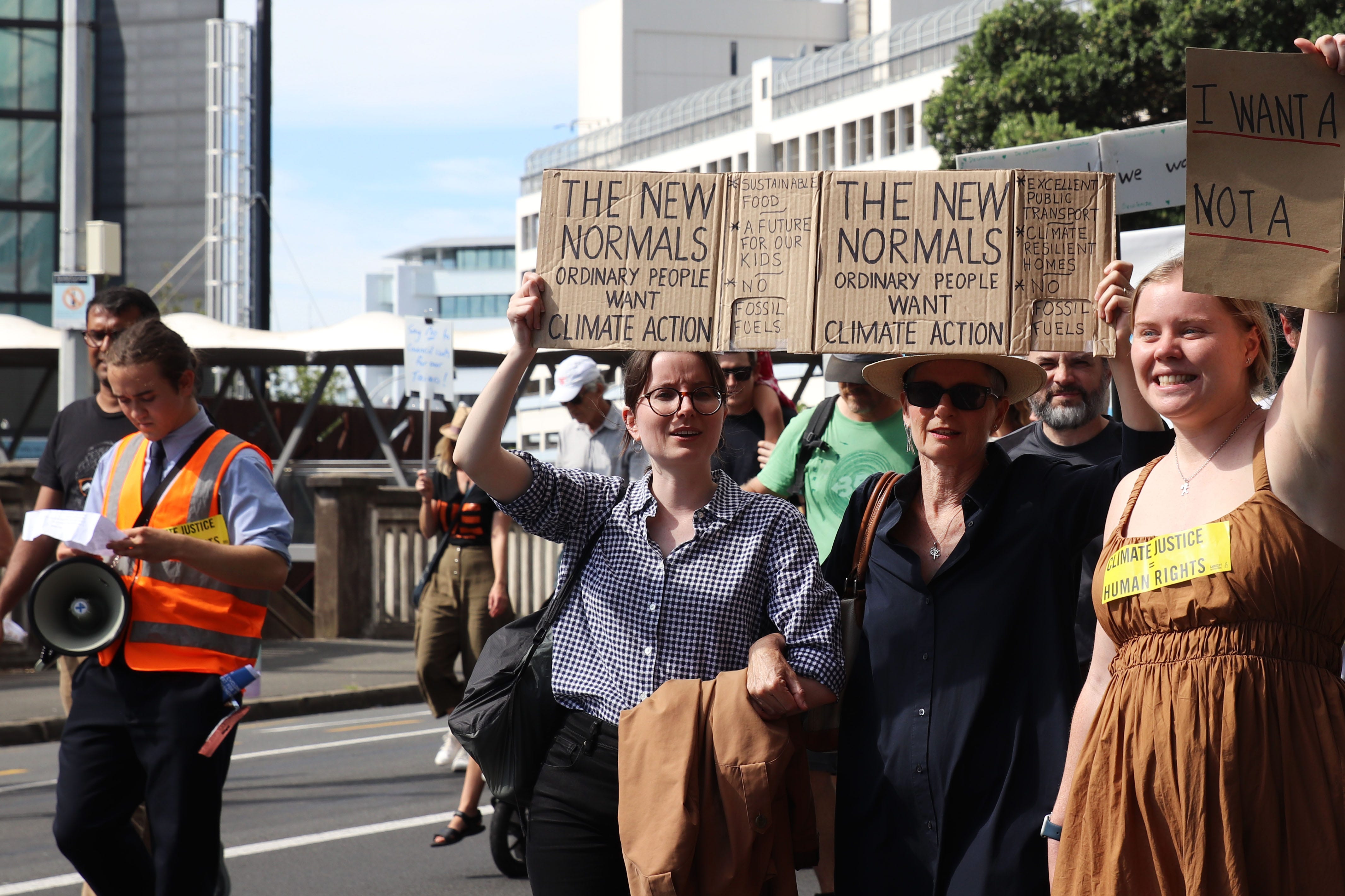 The Kākā by Bernard Hickey