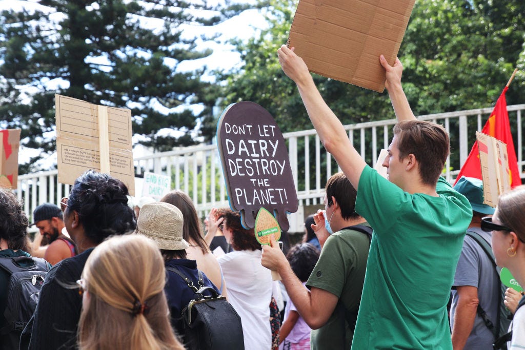 The Kākā by Bernard Hickey