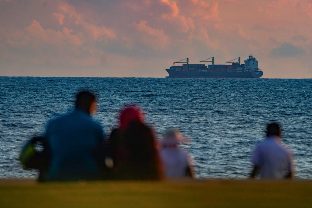 The Kākā by Bernard Hickey