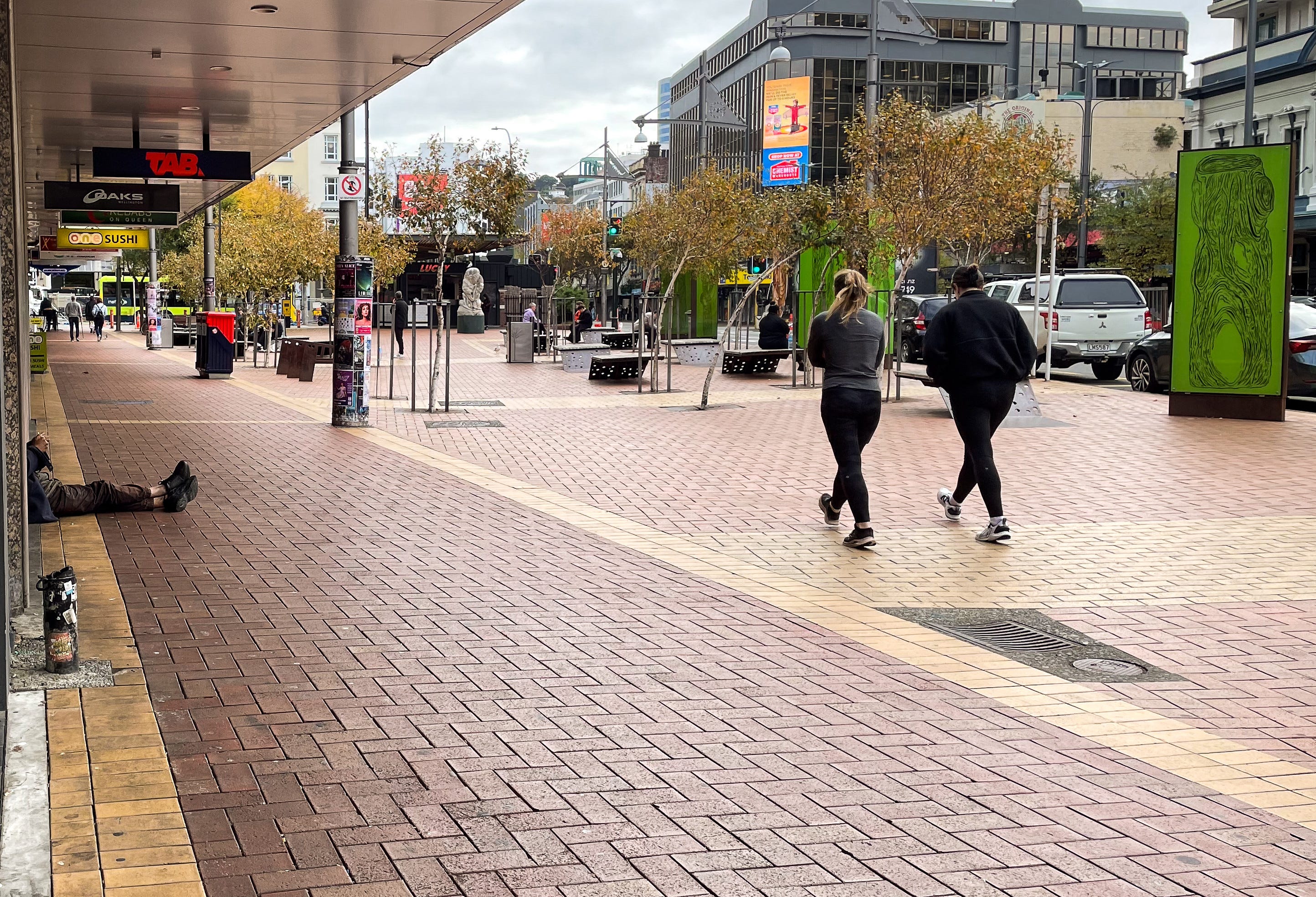 The Kākā by Bernard Hickey