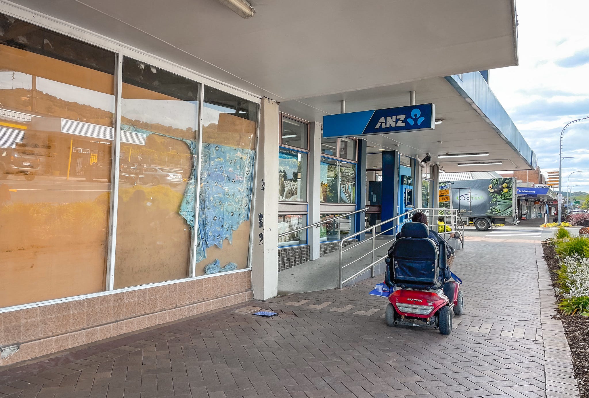 The Kākā by Bernard Hickey