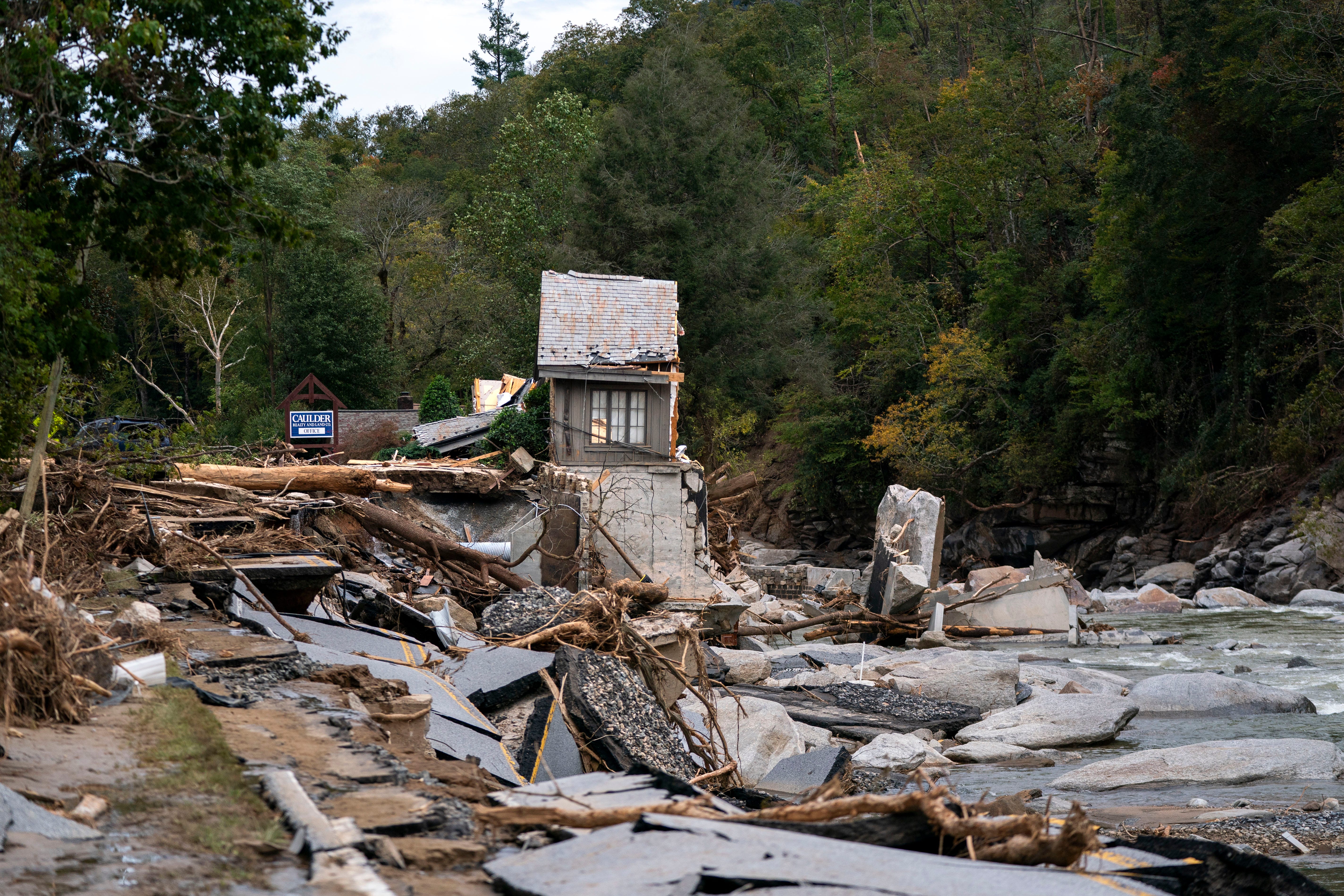 The Kākā by Bernard Hickey