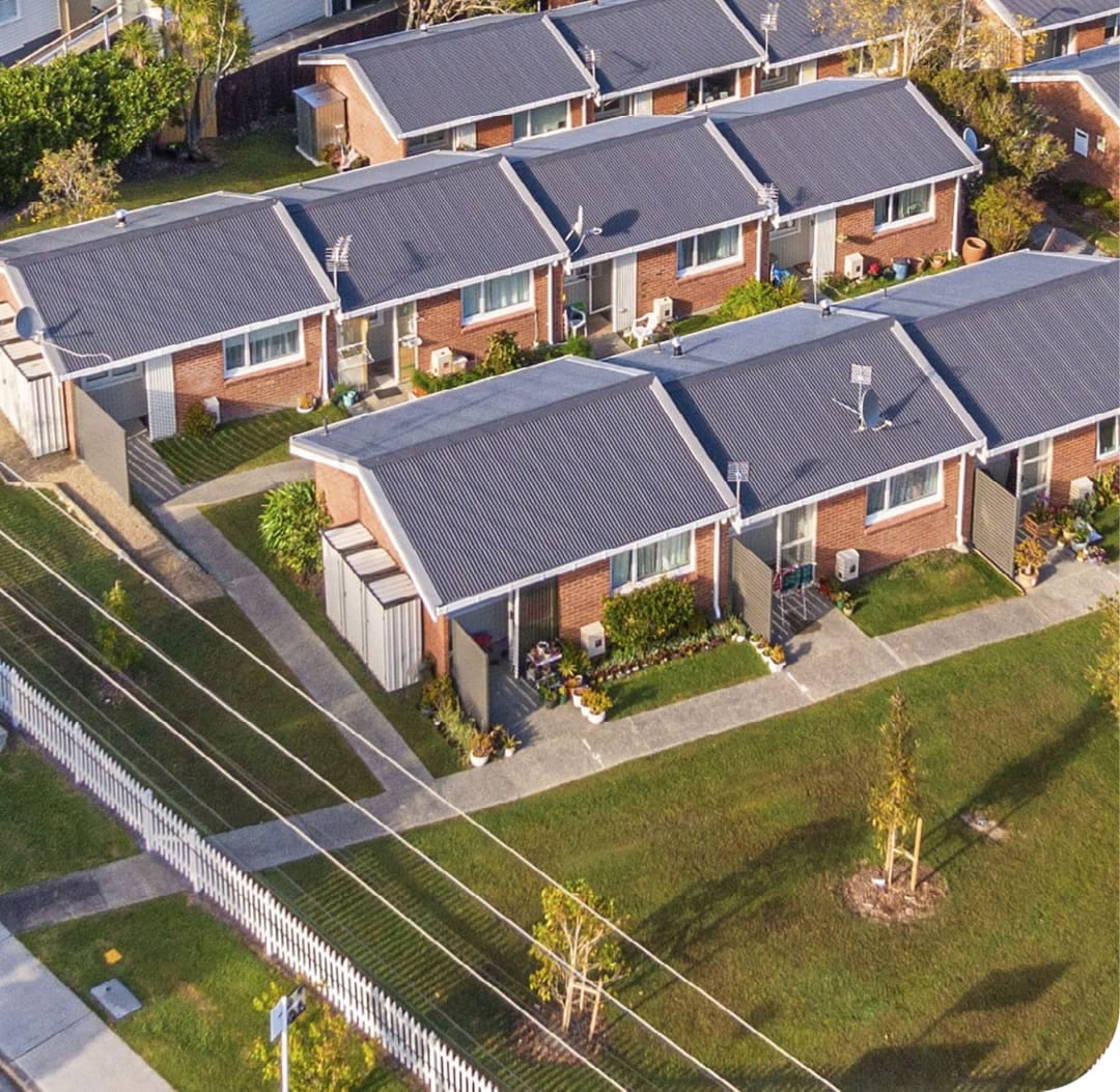 The Kākā by Bernard Hickey