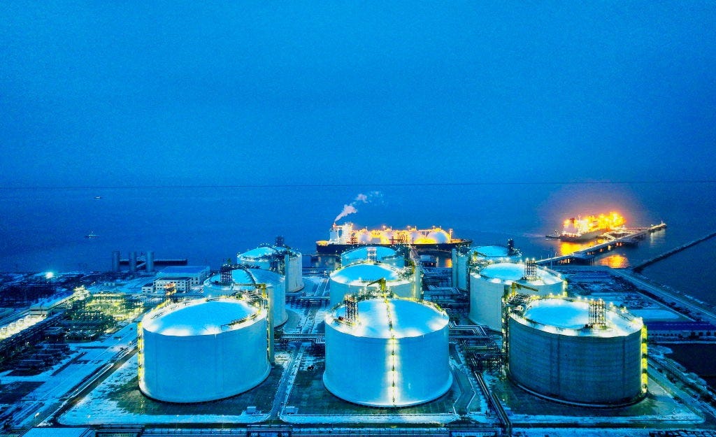 The Kākā by Bernard Hickey