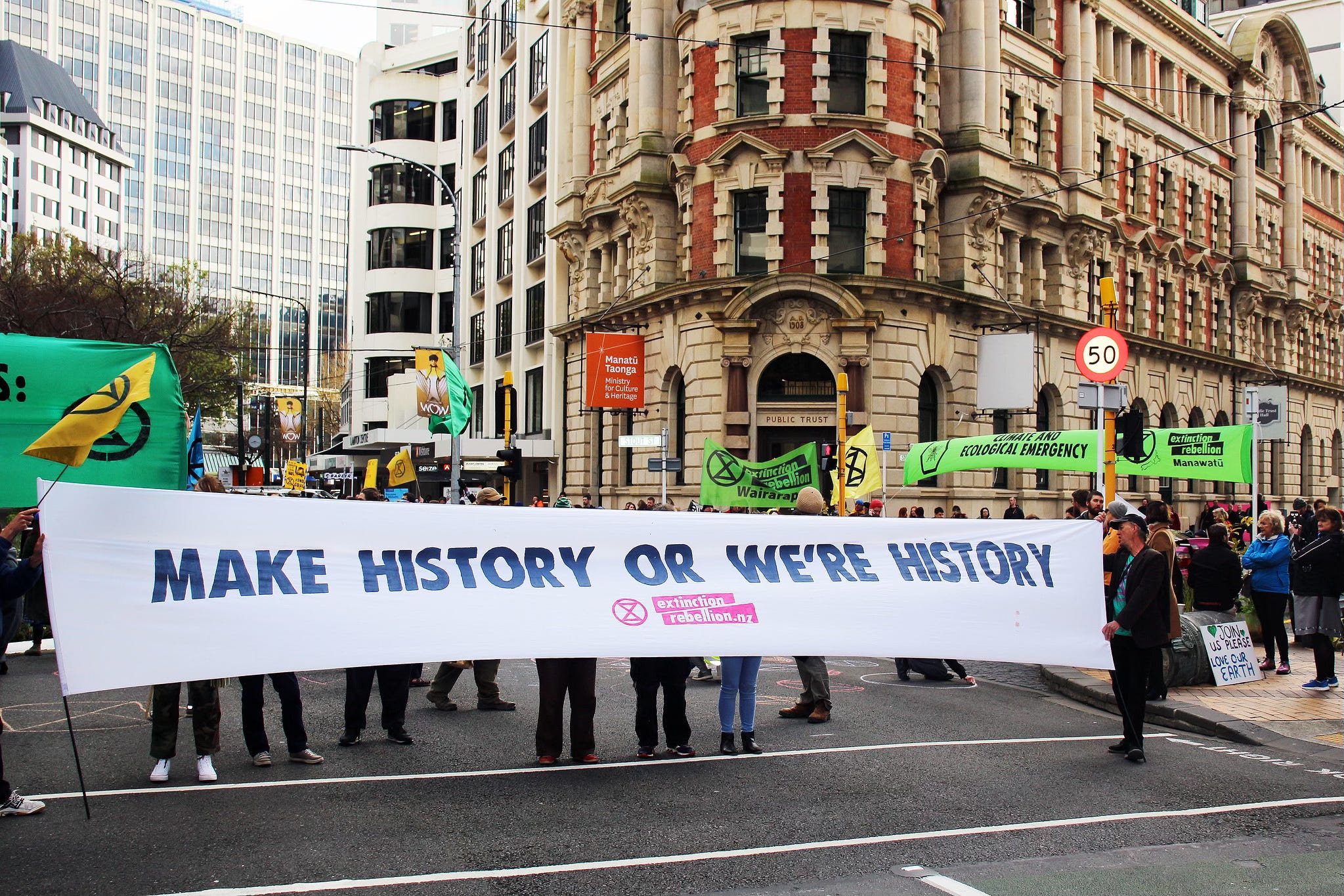 The Kākā by Bernard Hickey