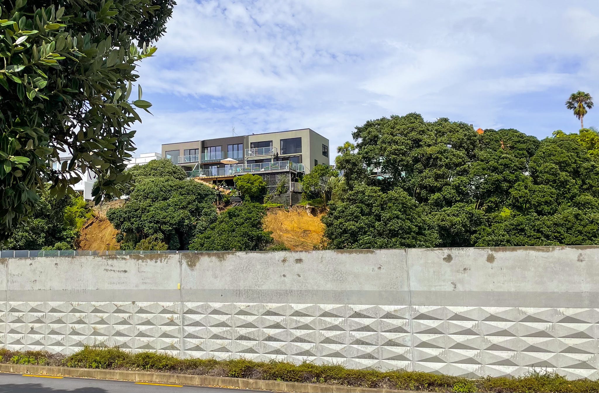 The Kākā by Bernard Hickey