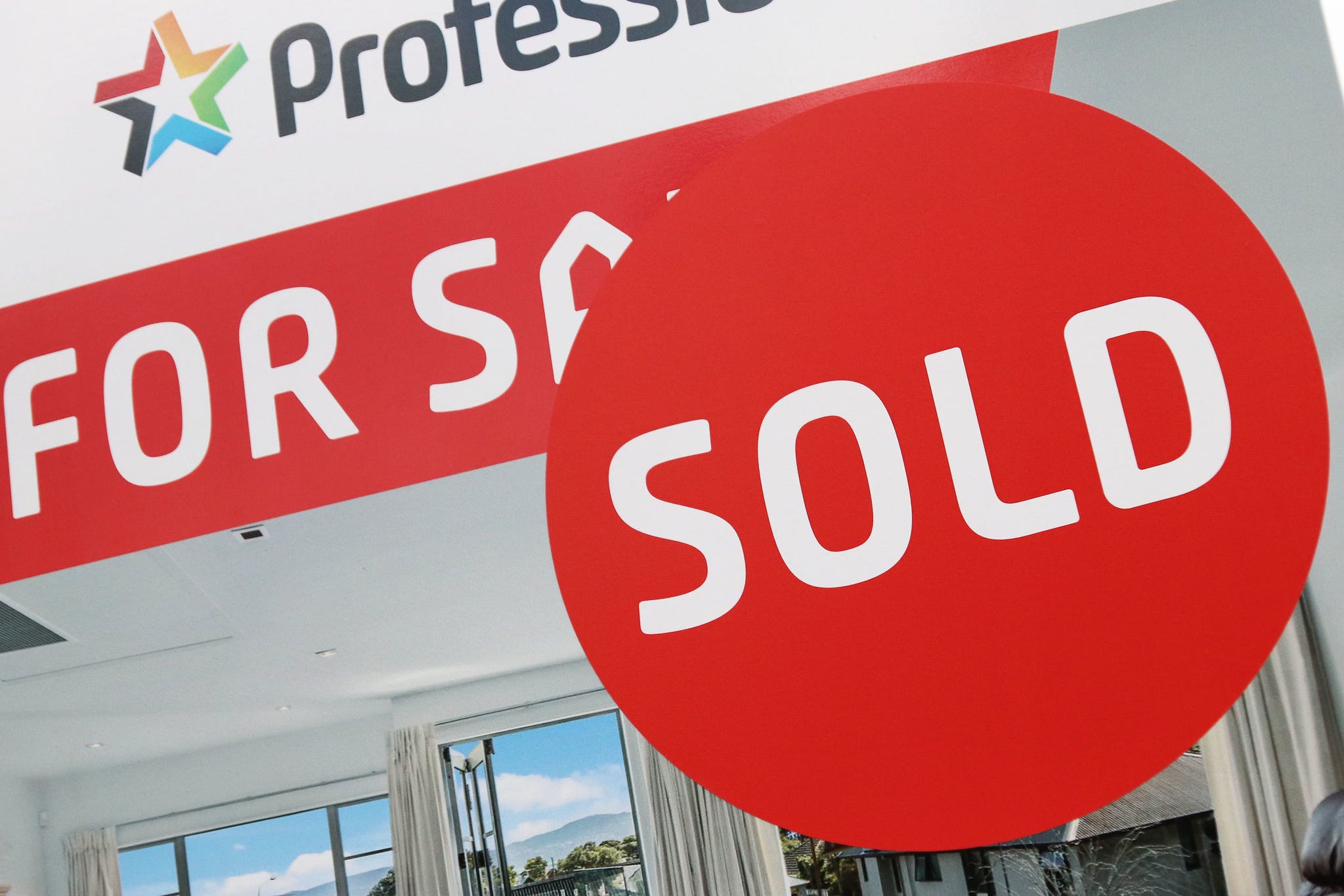 The Kākā by Bernard Hickey