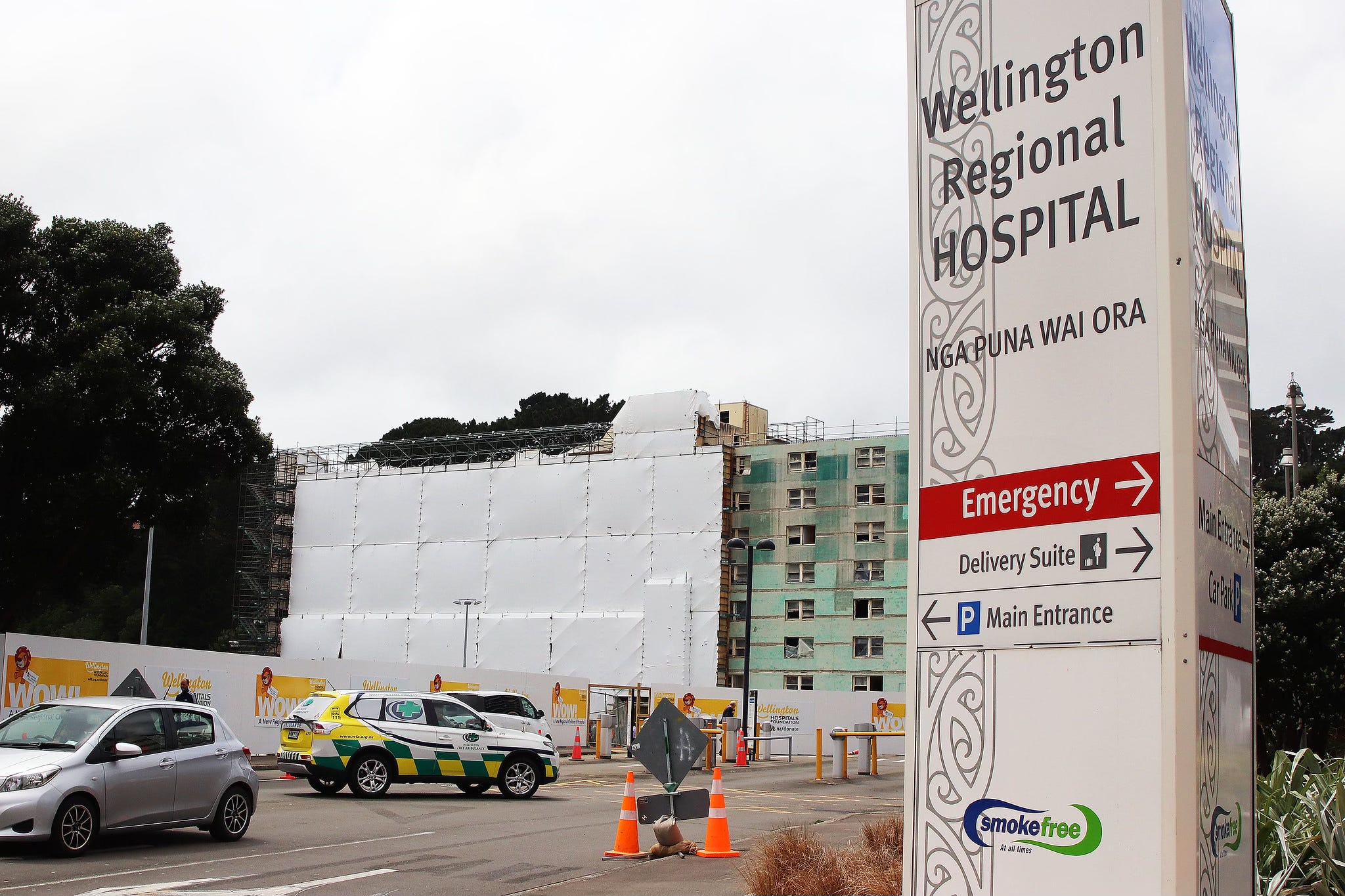 The Kākā by Bernard Hickey