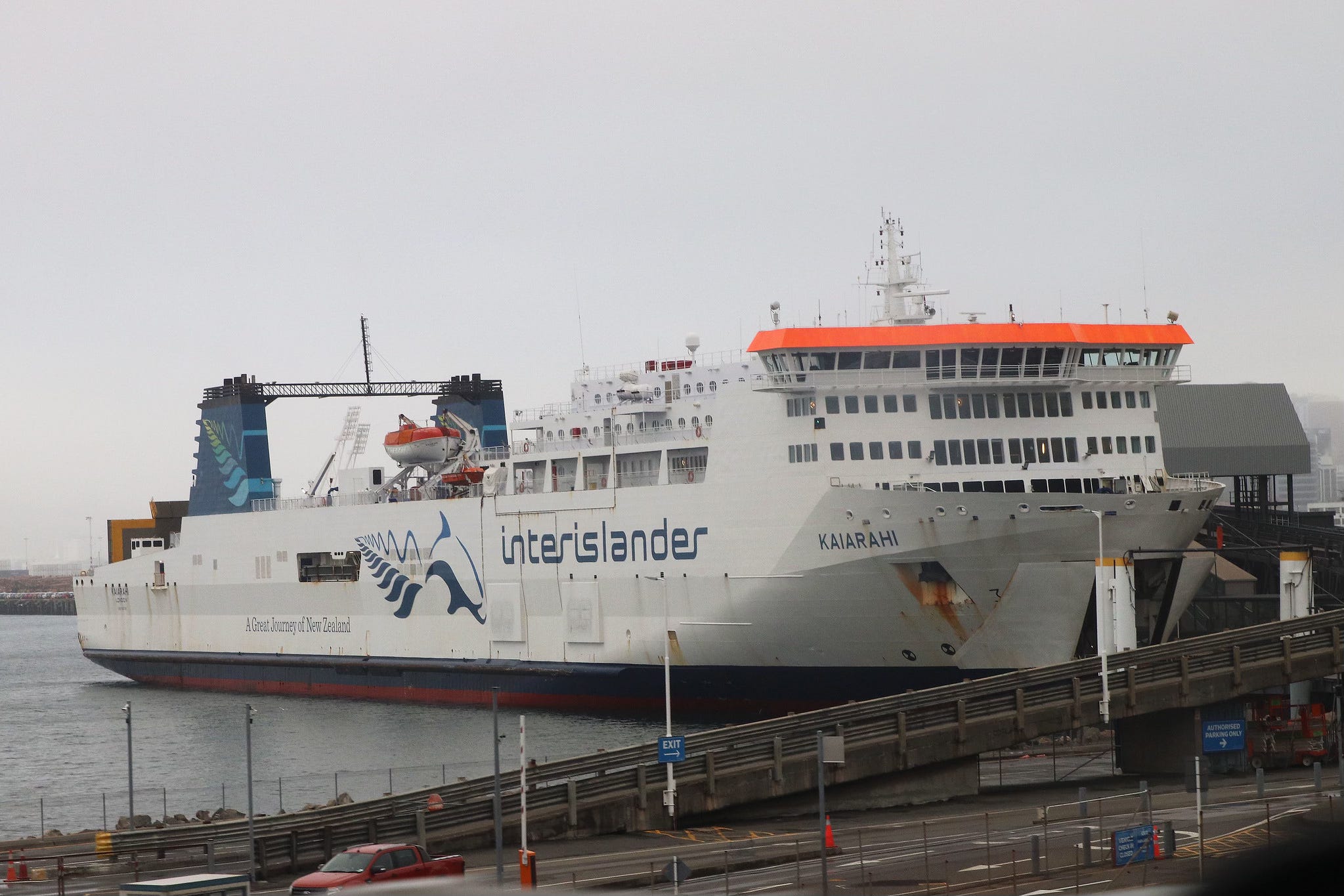 The Kākā by Bernard Hickey