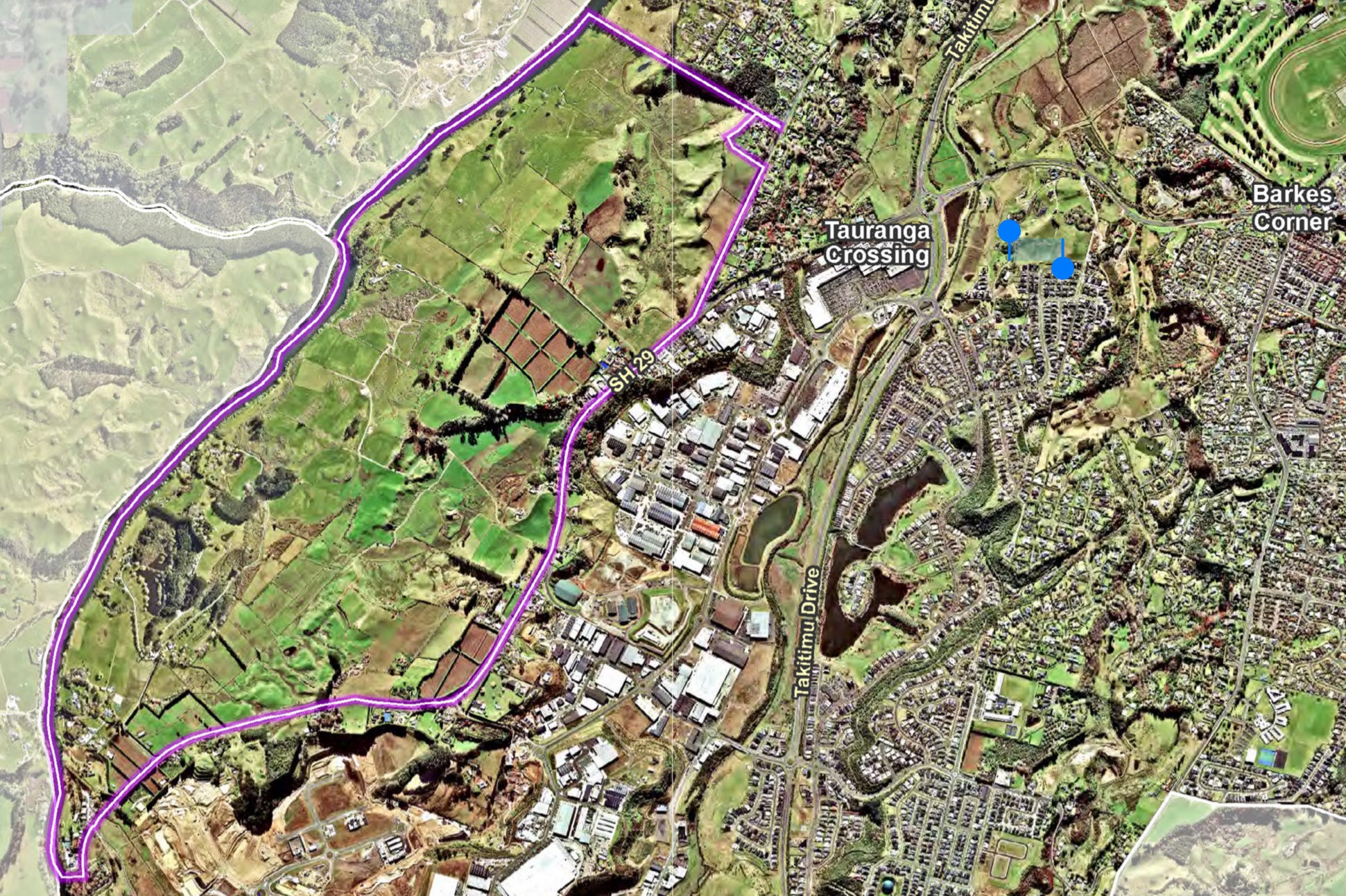 The Kākā by Bernard Hickey