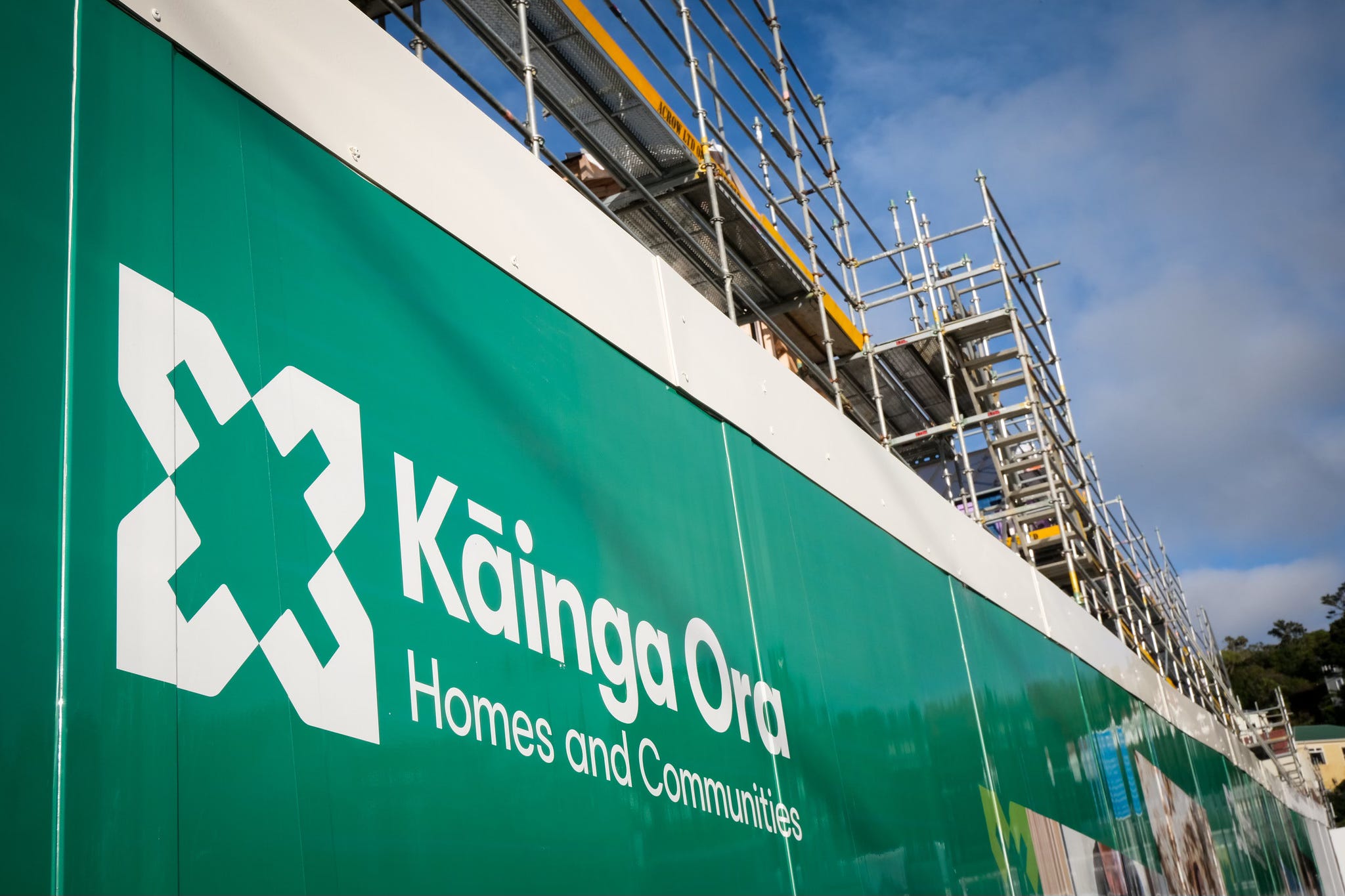 The Kākā by Bernard Hickey