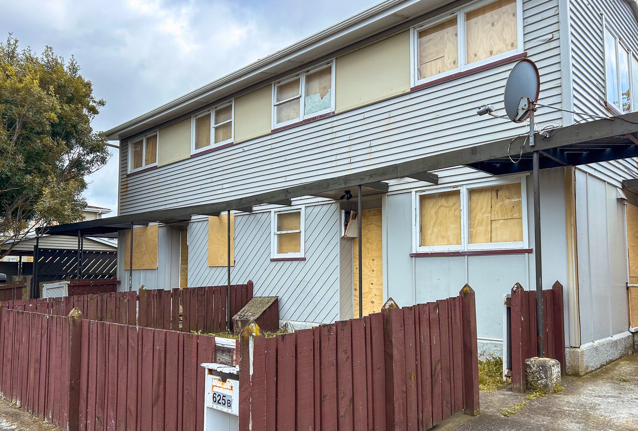 The Kākā by Bernard Hickey