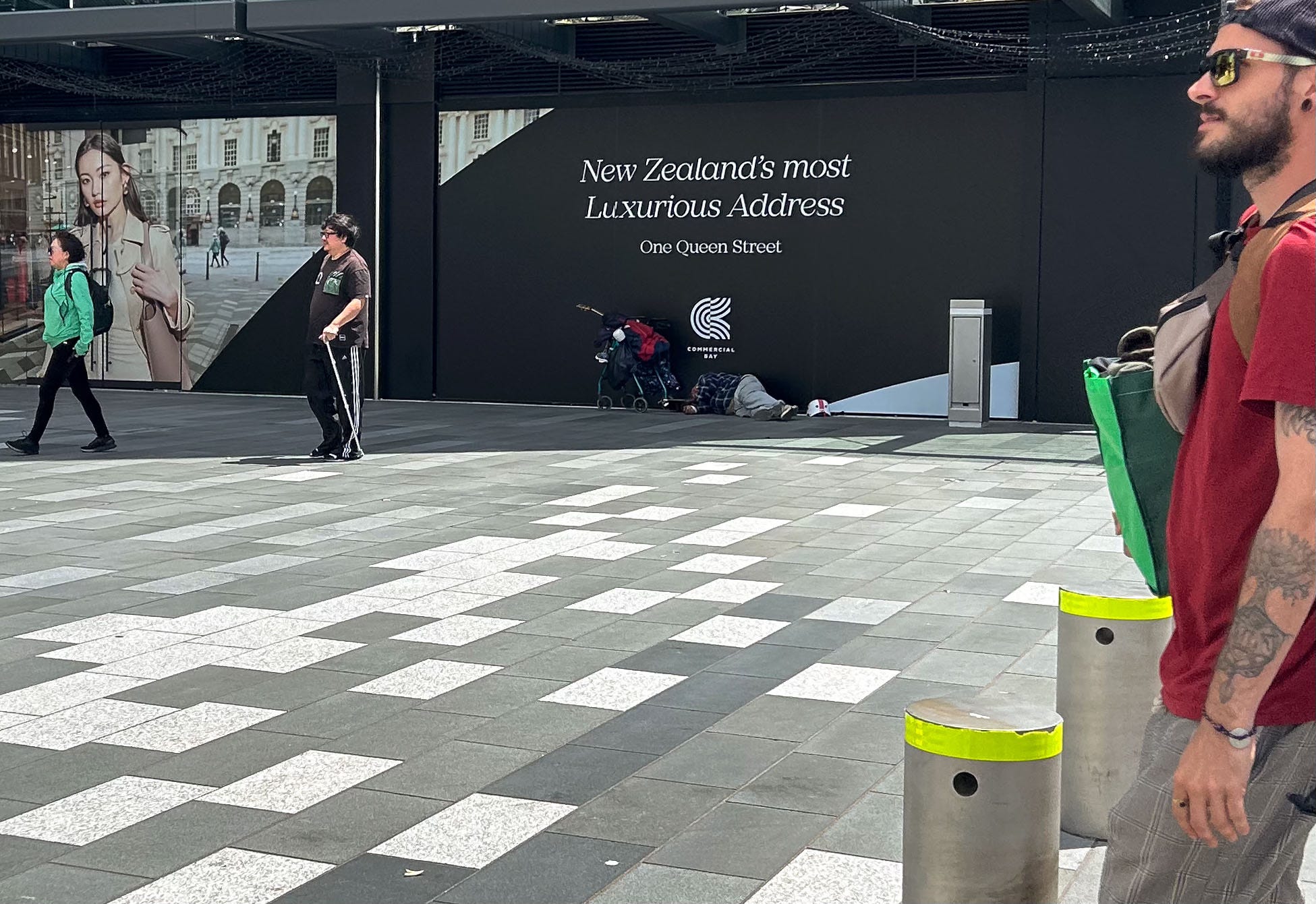 The Kākā by Bernard Hickey