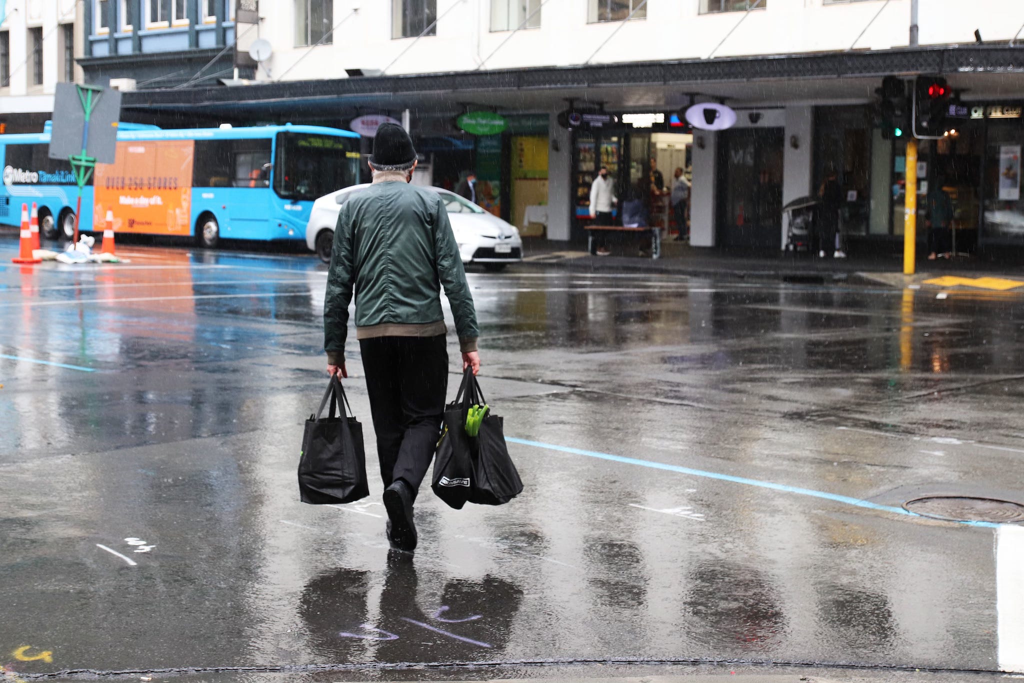 The Kākā by Bernard Hickey