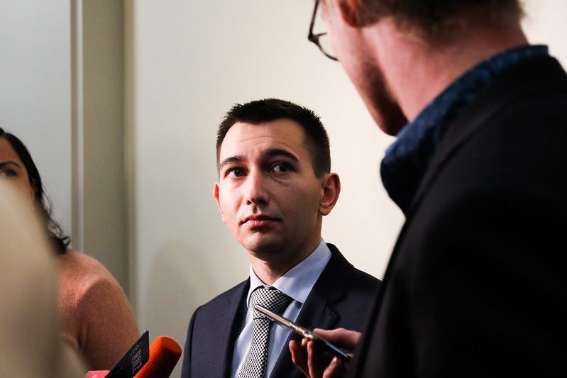 The Kākā by Bernard Hickey