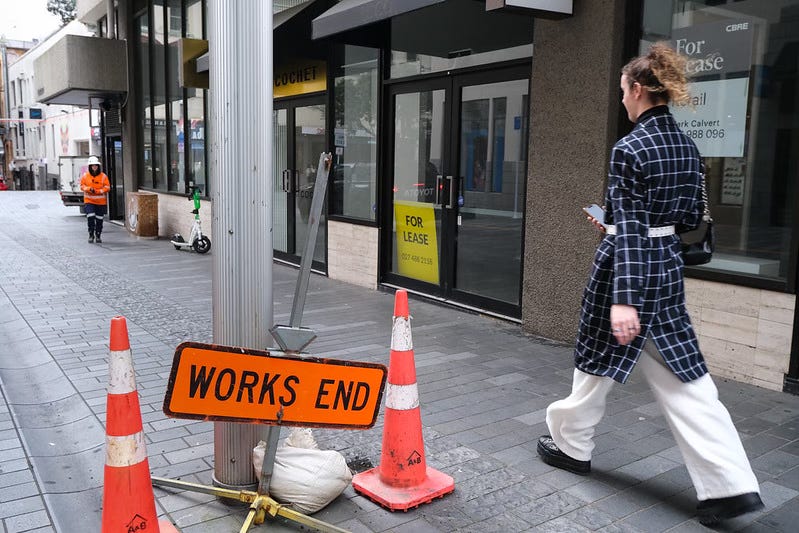The Kākā by Bernard Hickey