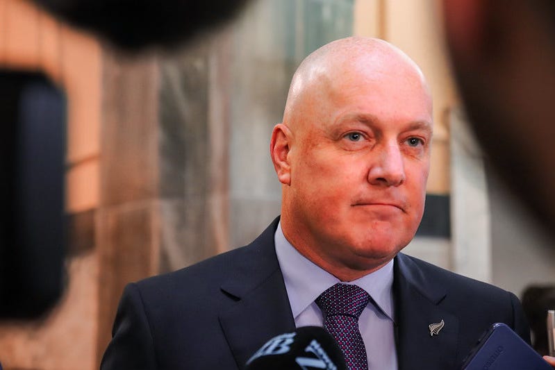 The Kākā by Bernard Hickey