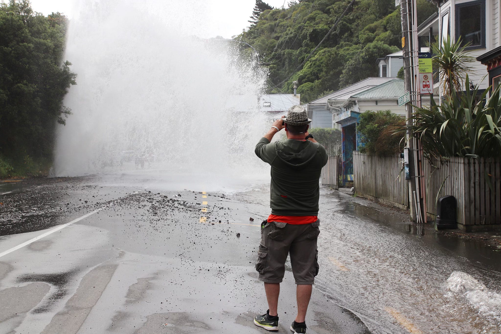 The Kākā by Bernard Hickey