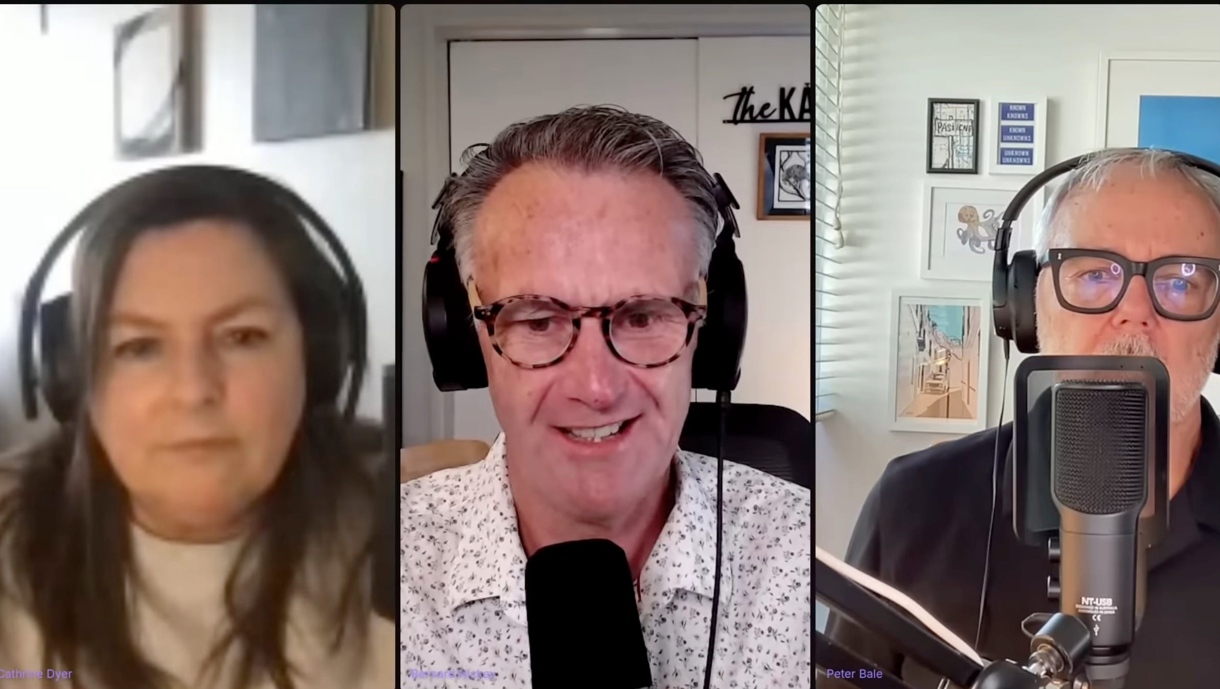 The Kākā by Bernard Hickey