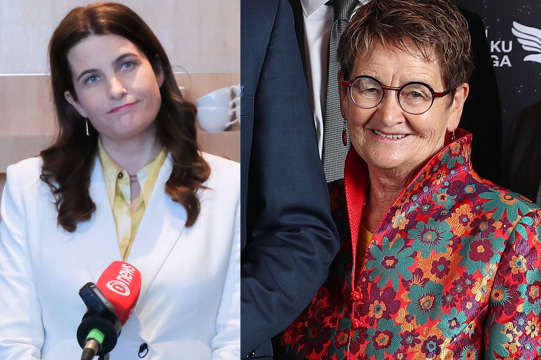 The Kākā by Bernard Hickey