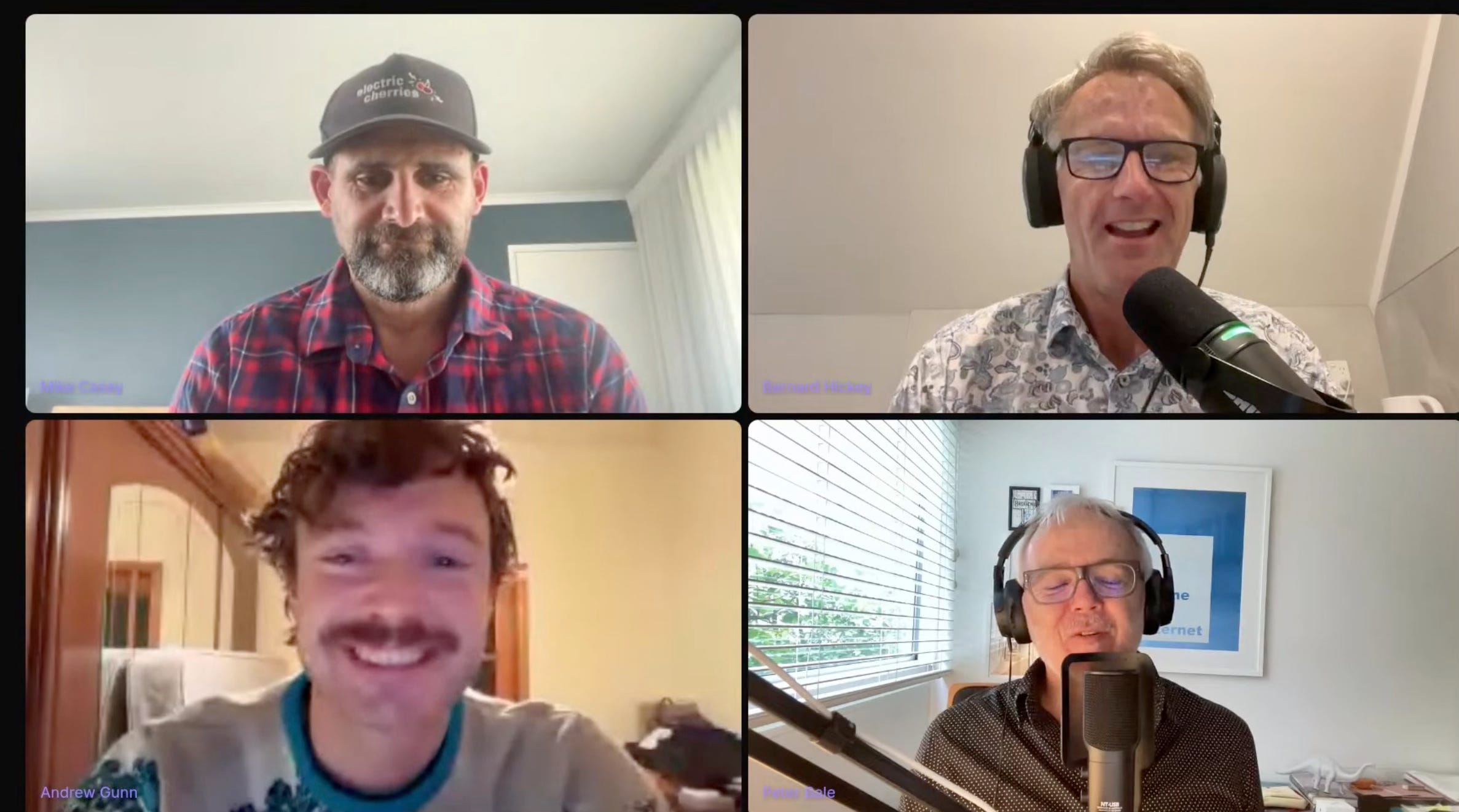 The Kākā by Bernard Hickey