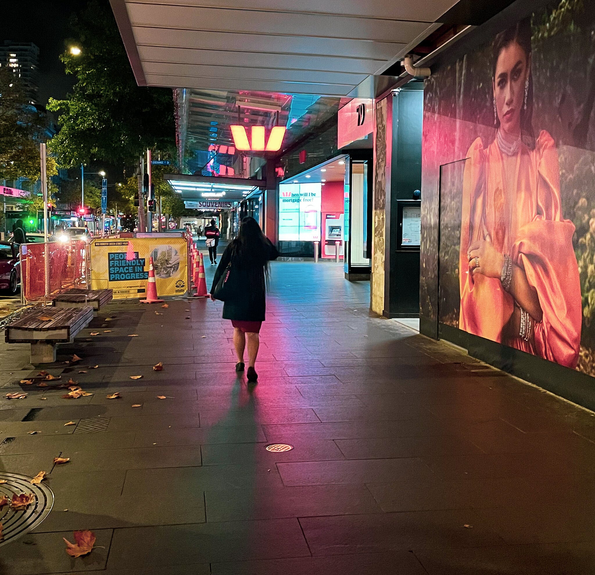 The Kākā by Bernard Hickey