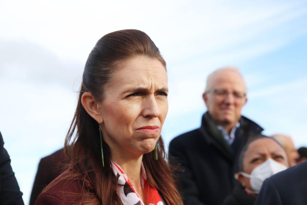 The Kākā by Bernard Hickey