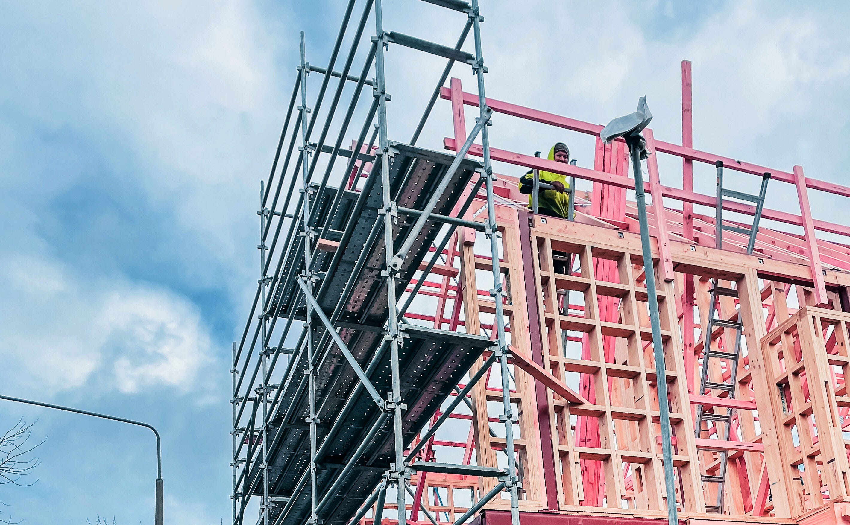 The Kākā by Bernard Hickey