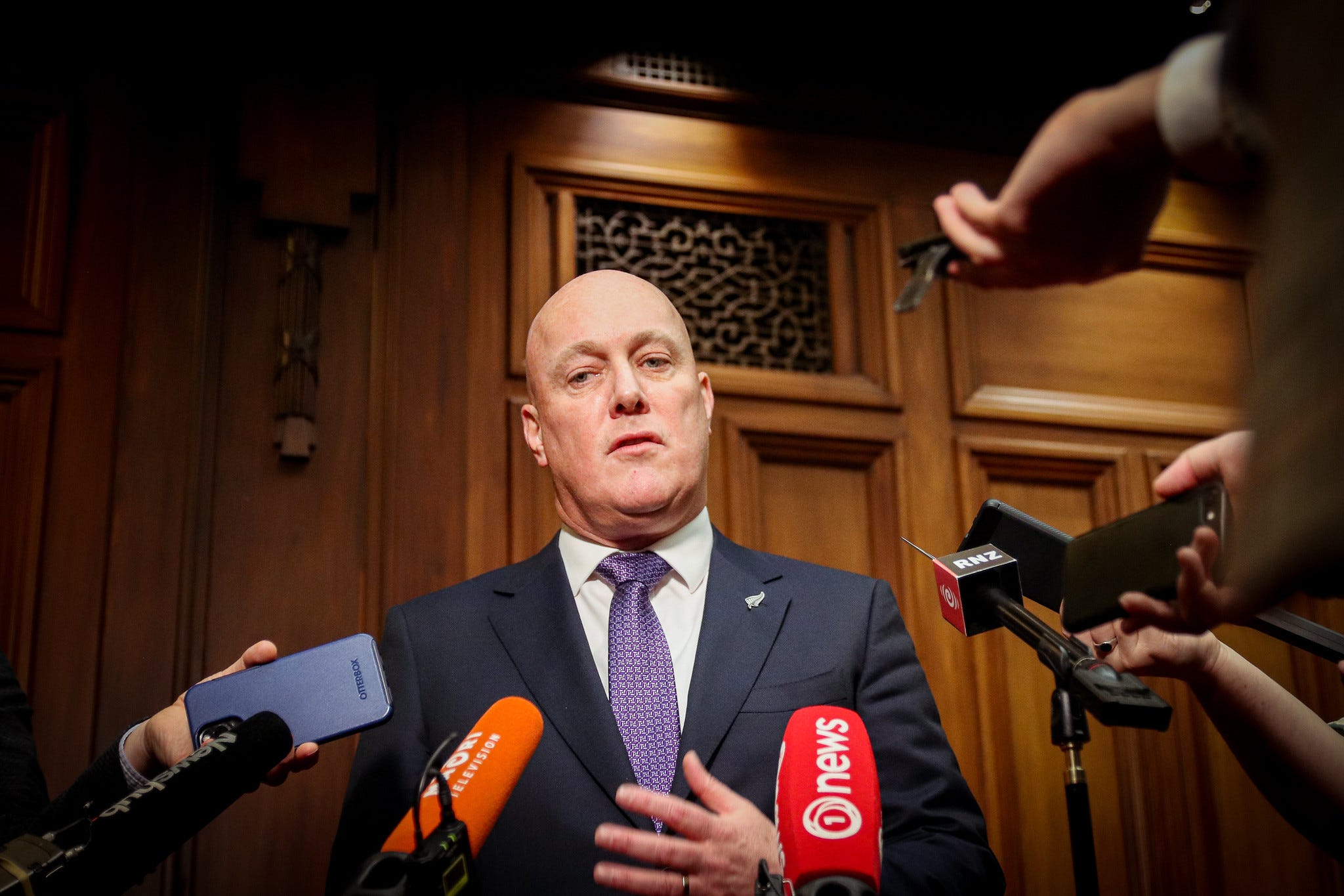 The Kākā by Bernard Hickey