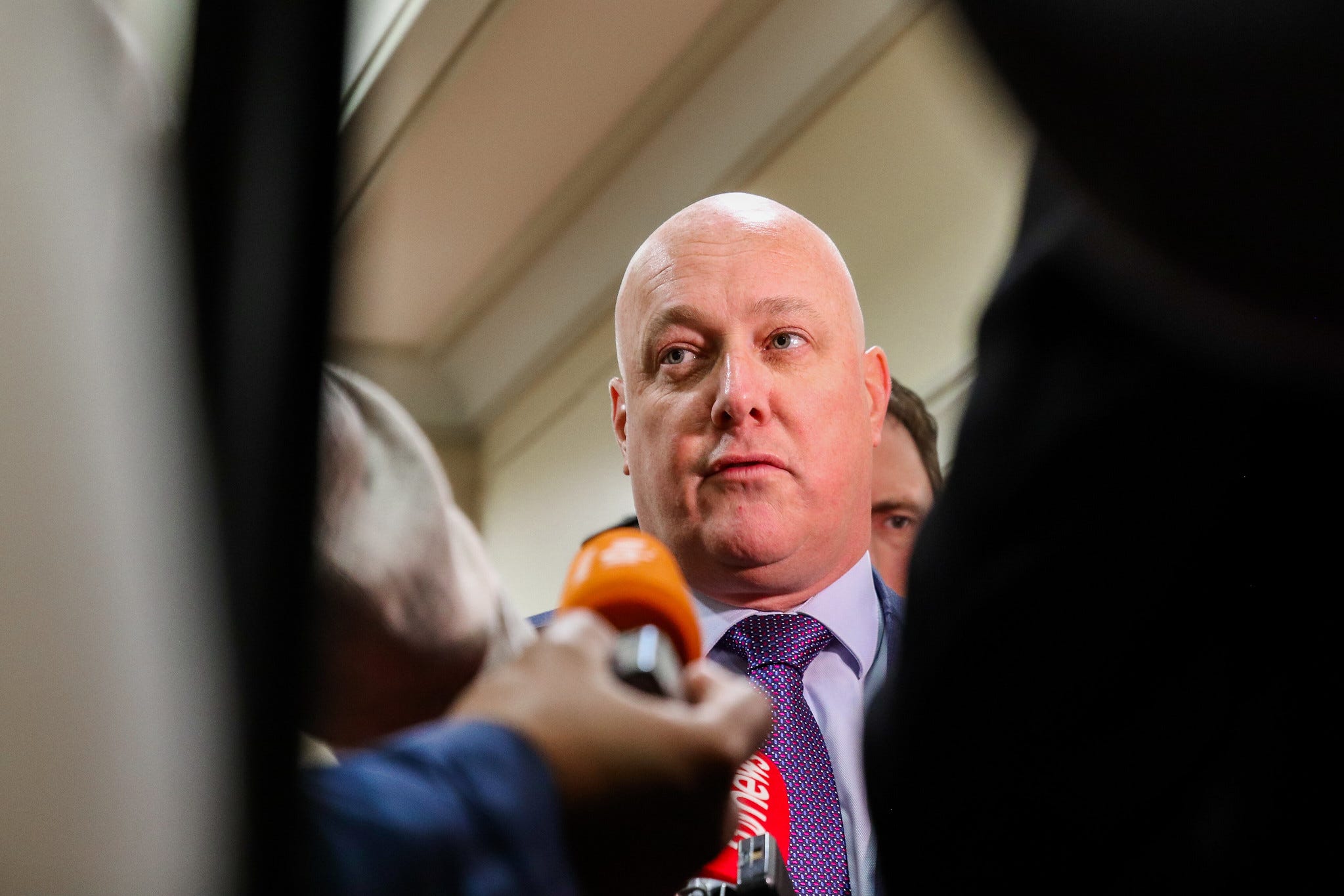 The Kākā by Bernard Hickey