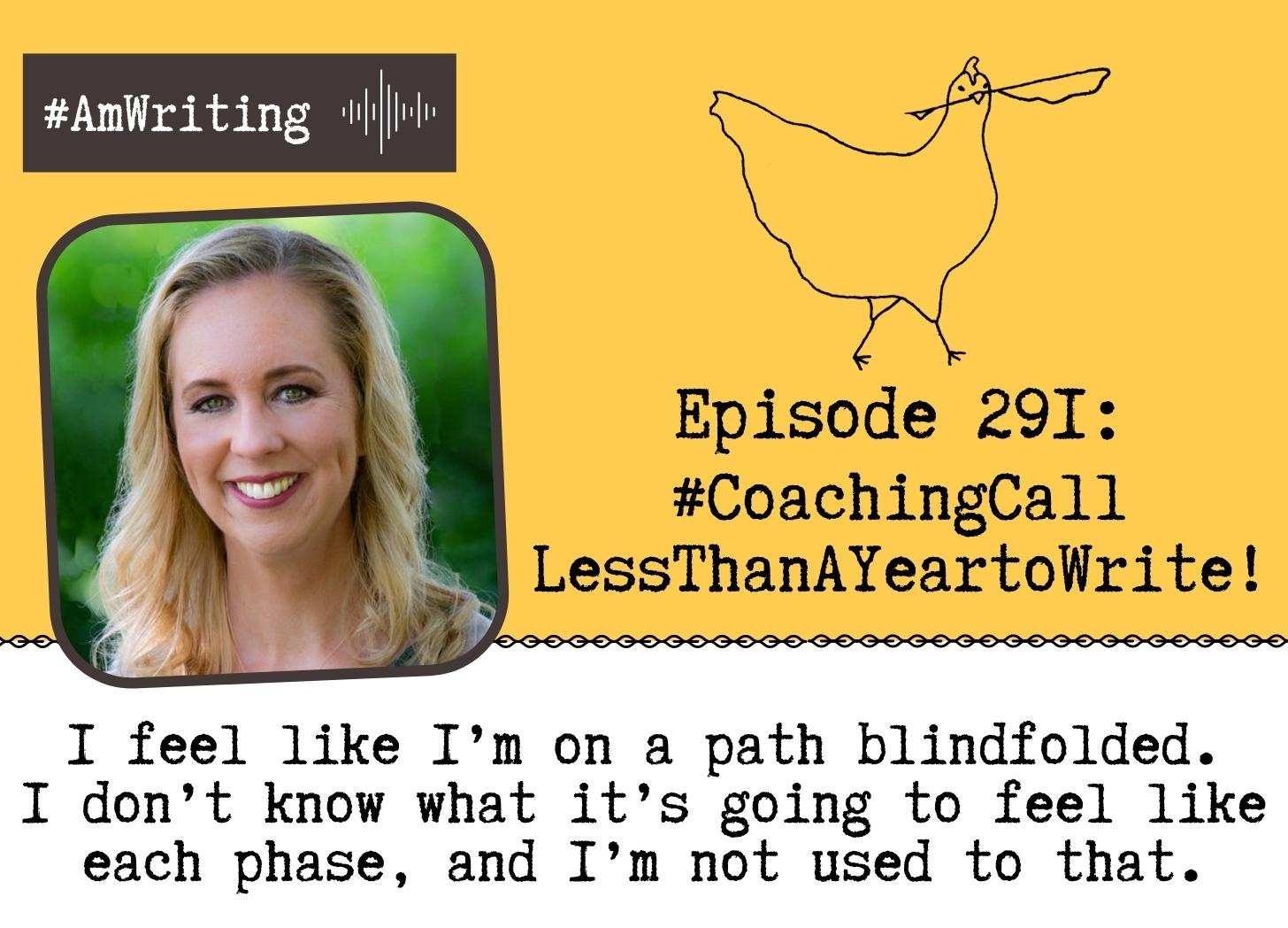 How Do You Write a Non-Fiction Book in less than a Year? Episode 291: Coaching Call with Emily Edlynn